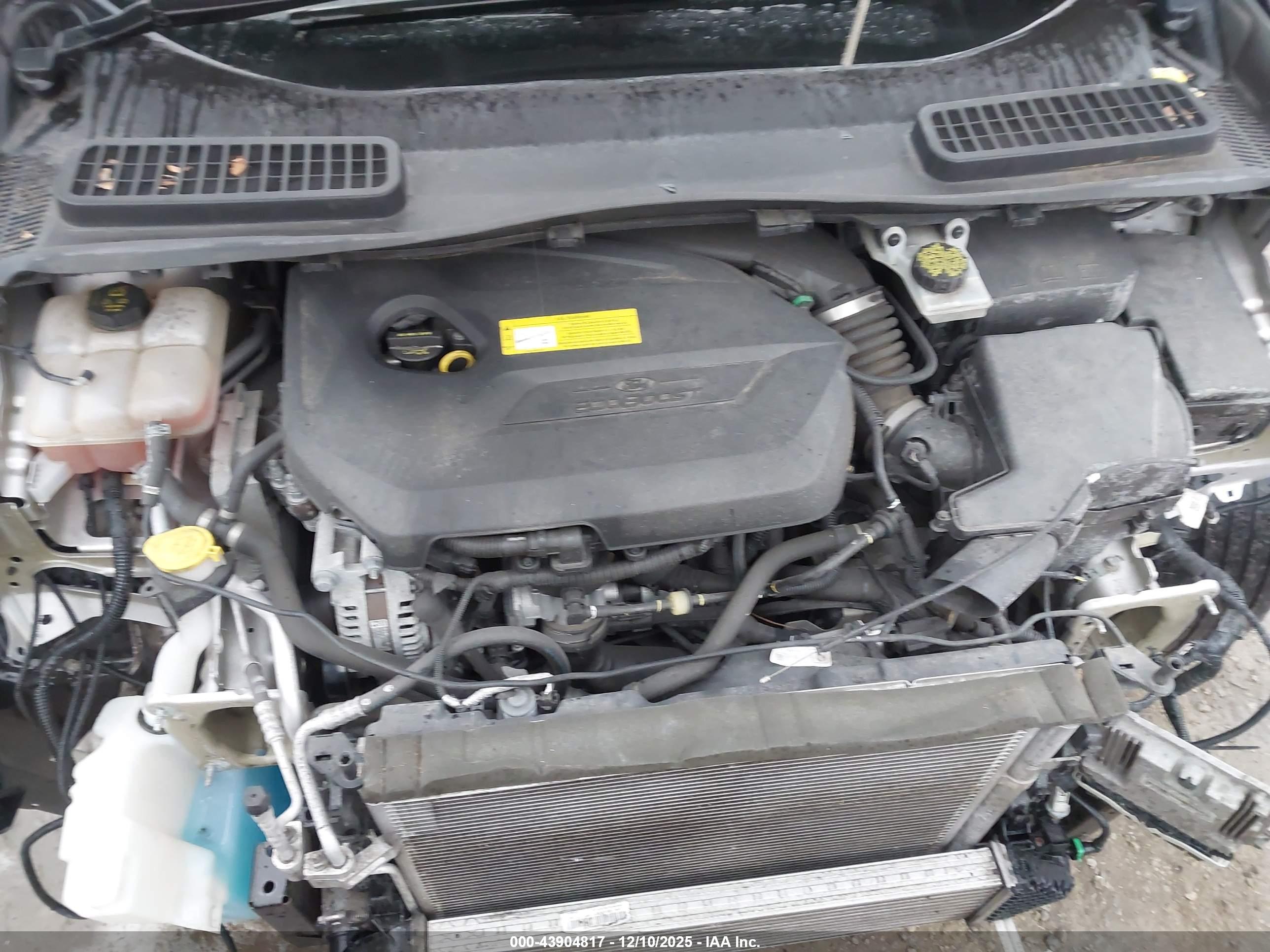 FORD ESCAPE image 10