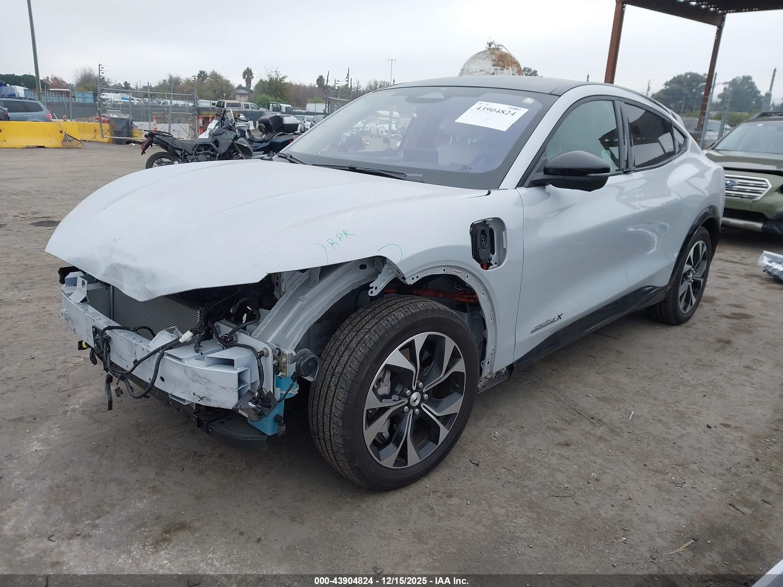 FORD MUSTANG image 2