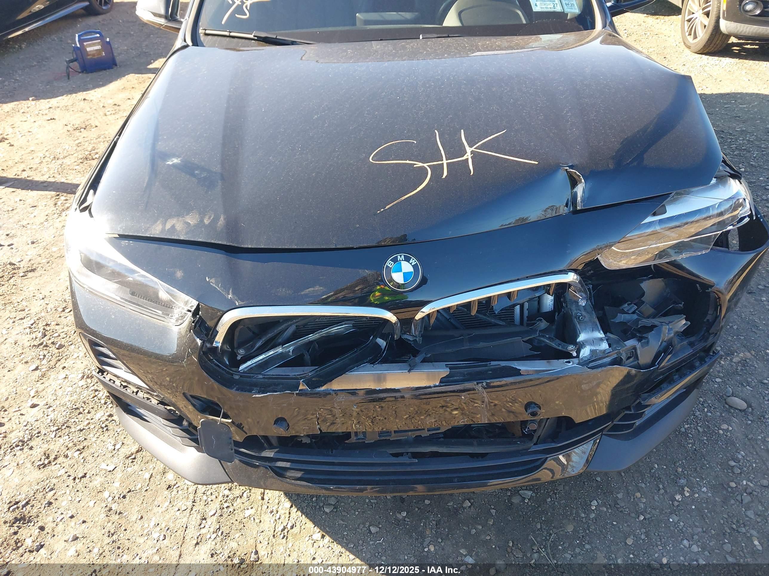 BMW X2 image 10