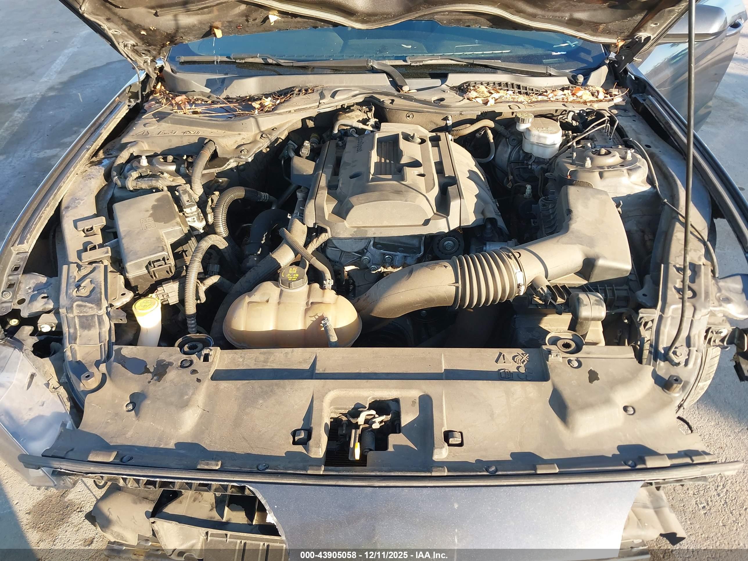 FORD MUSTANG image 10
