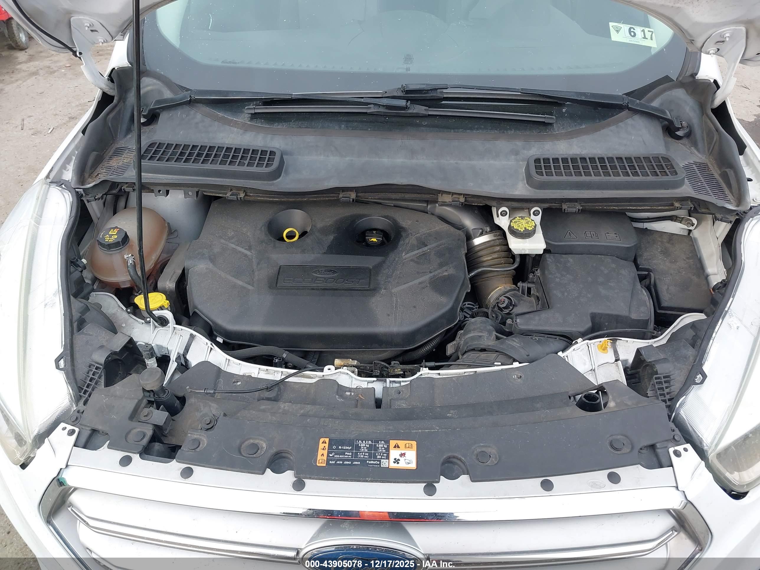 FORD ESCAPE image 10