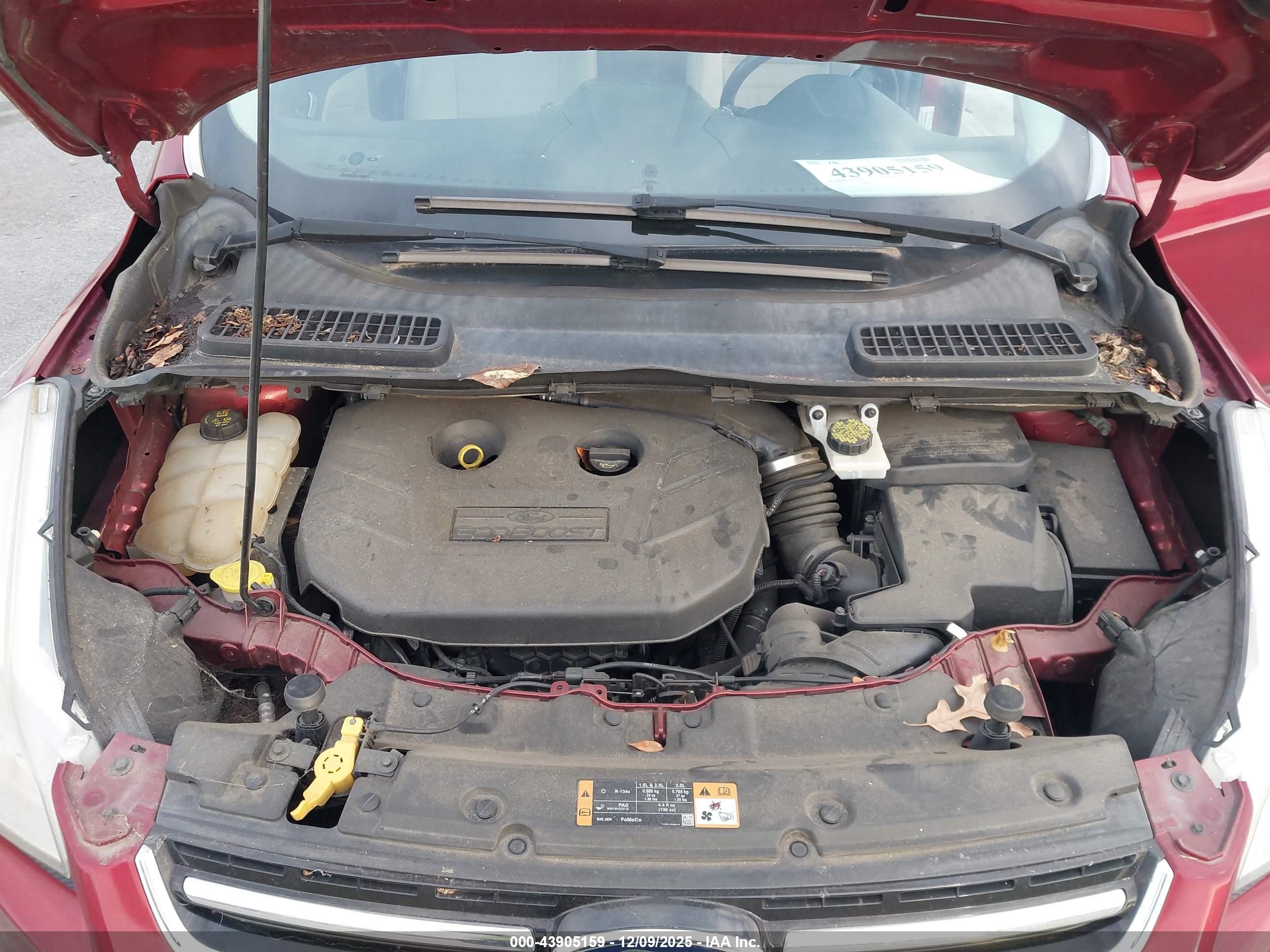 FORD ESCAPE image 10