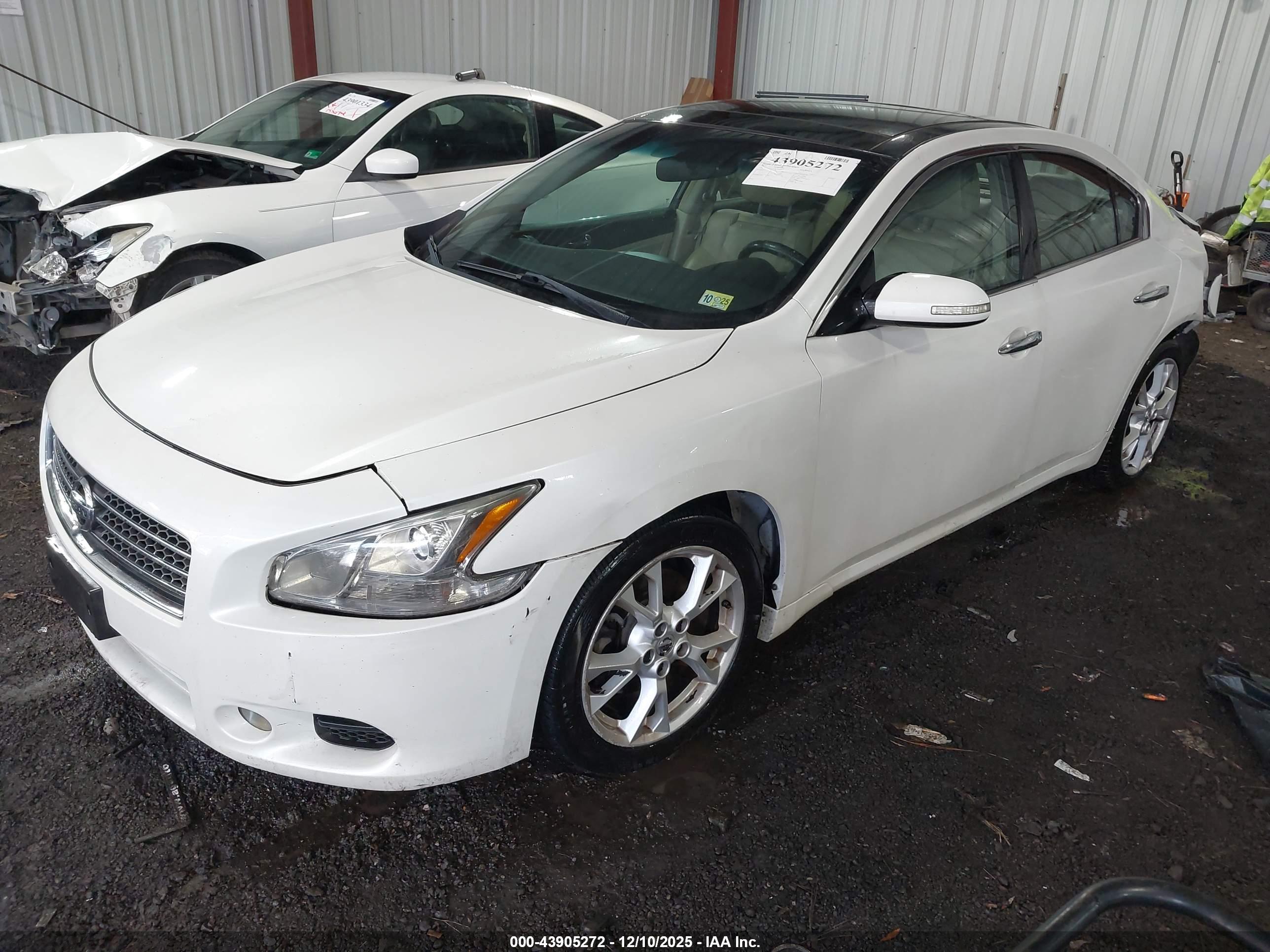 NISSAN MAXIMA image 2