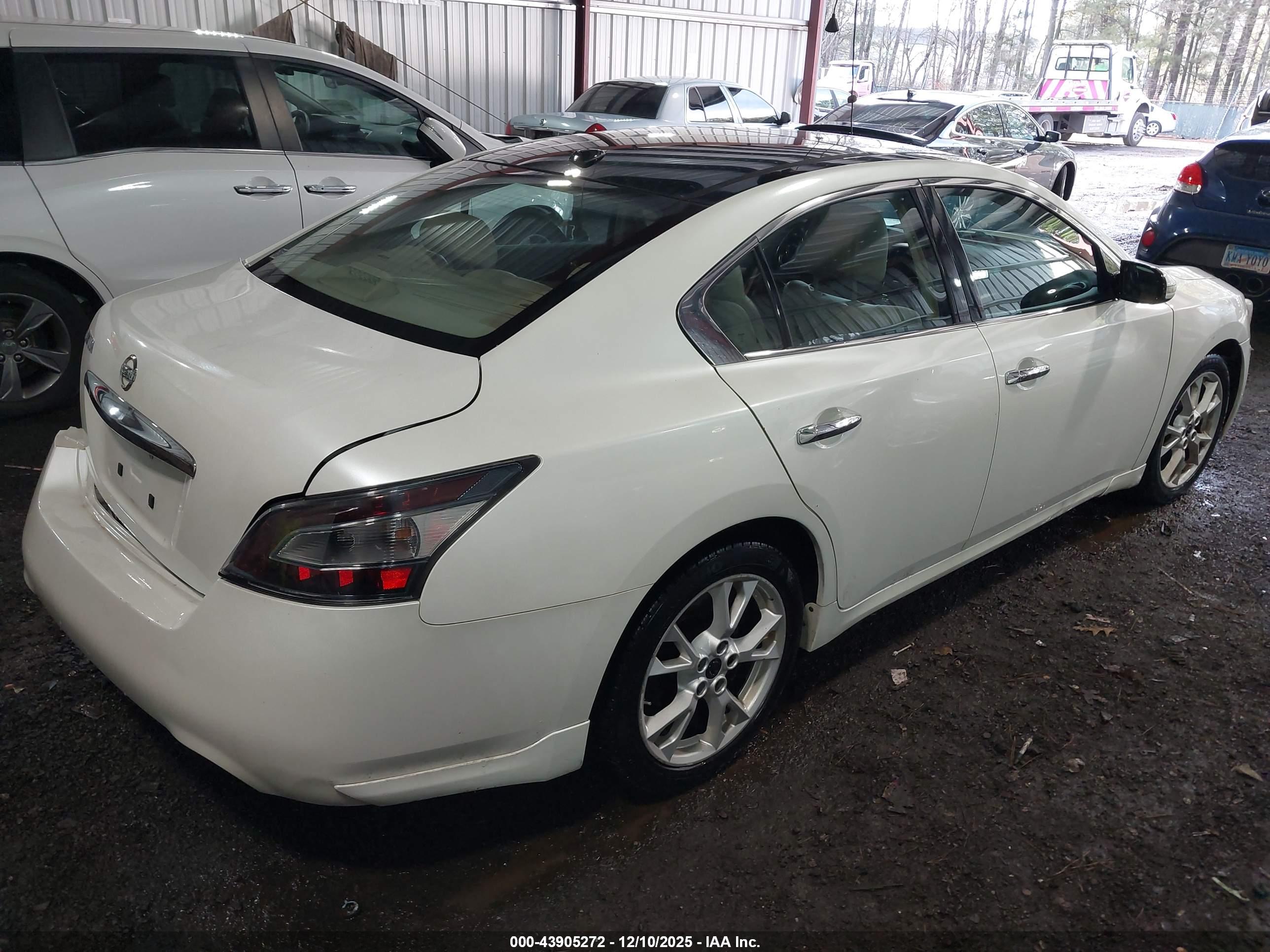NISSAN MAXIMA image 4