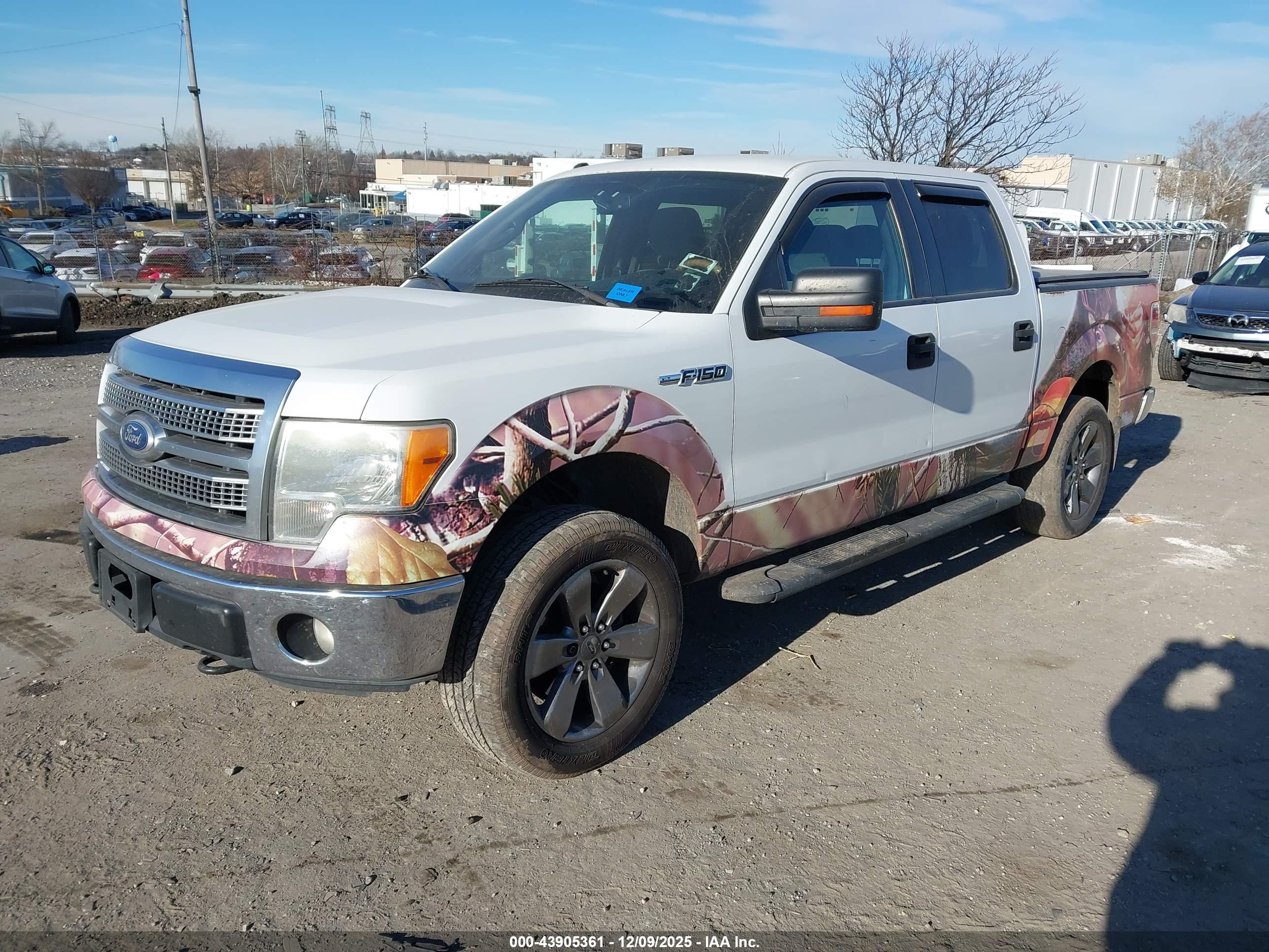 FORD F-150 image 2