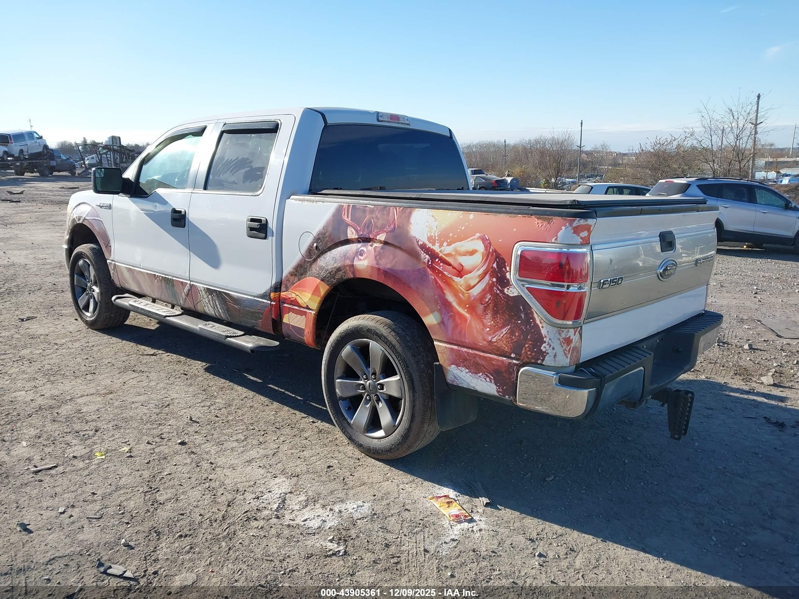 FORD F-150 image 3