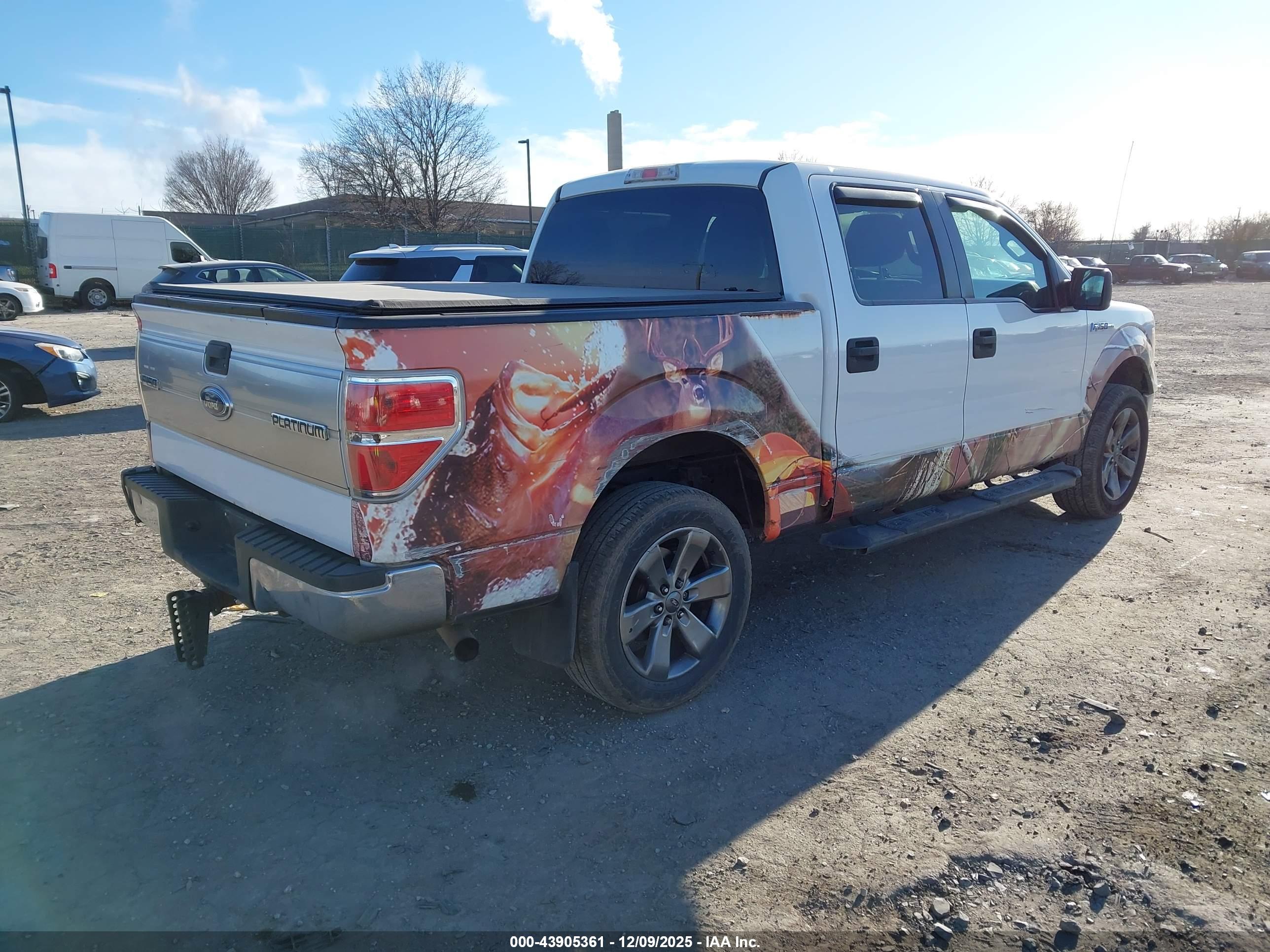 FORD F-150 image 4
