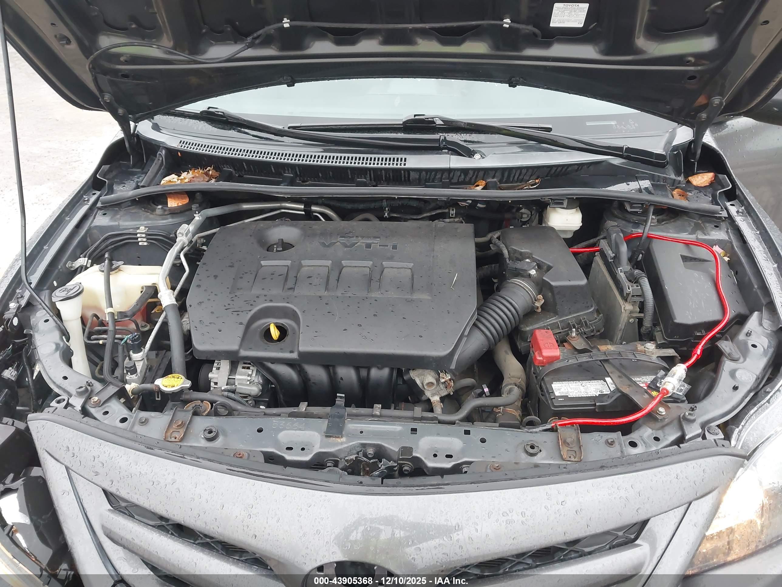 TOYOTA COROLLA image 10