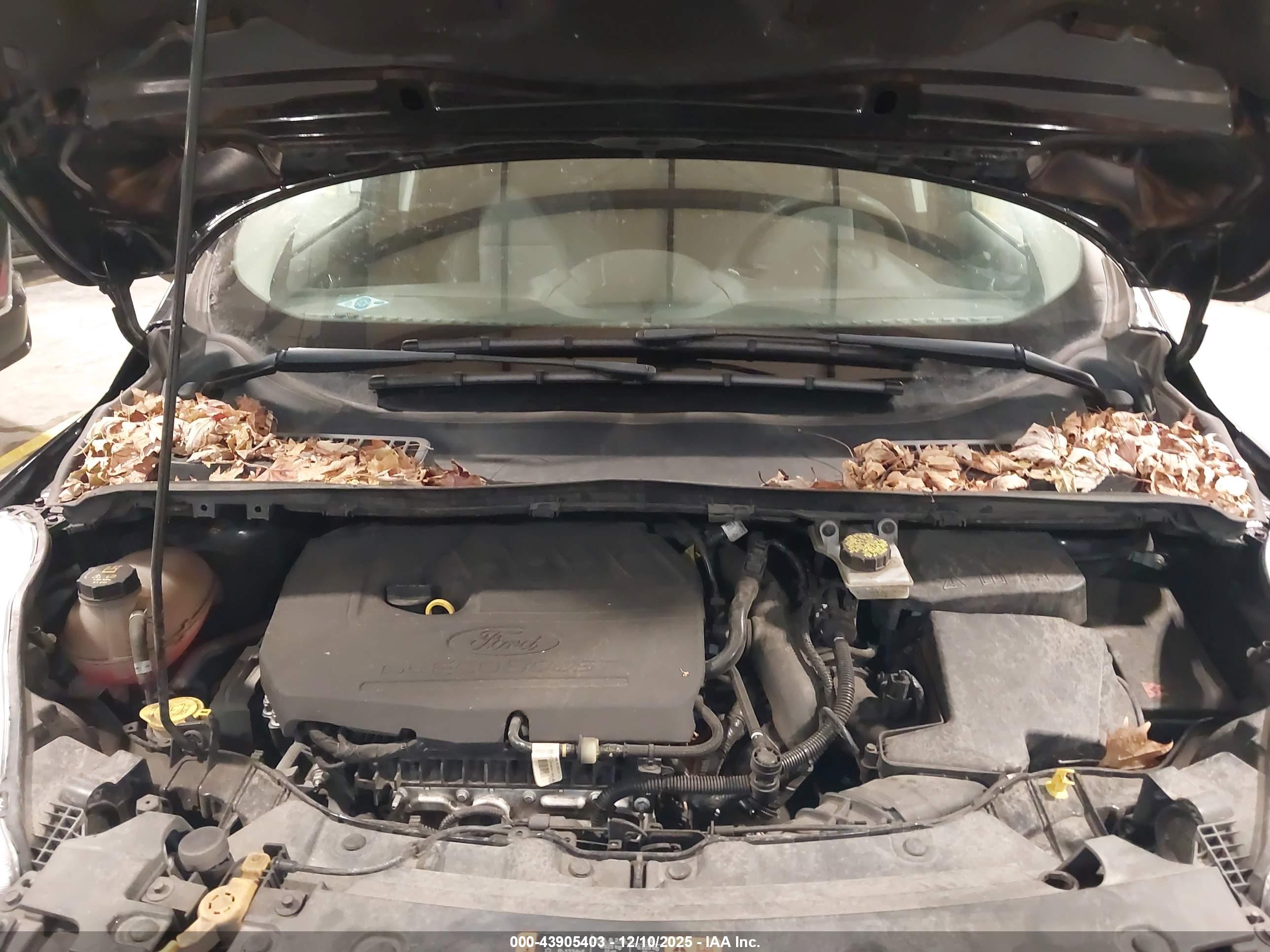 FORD ESCAPE image 10