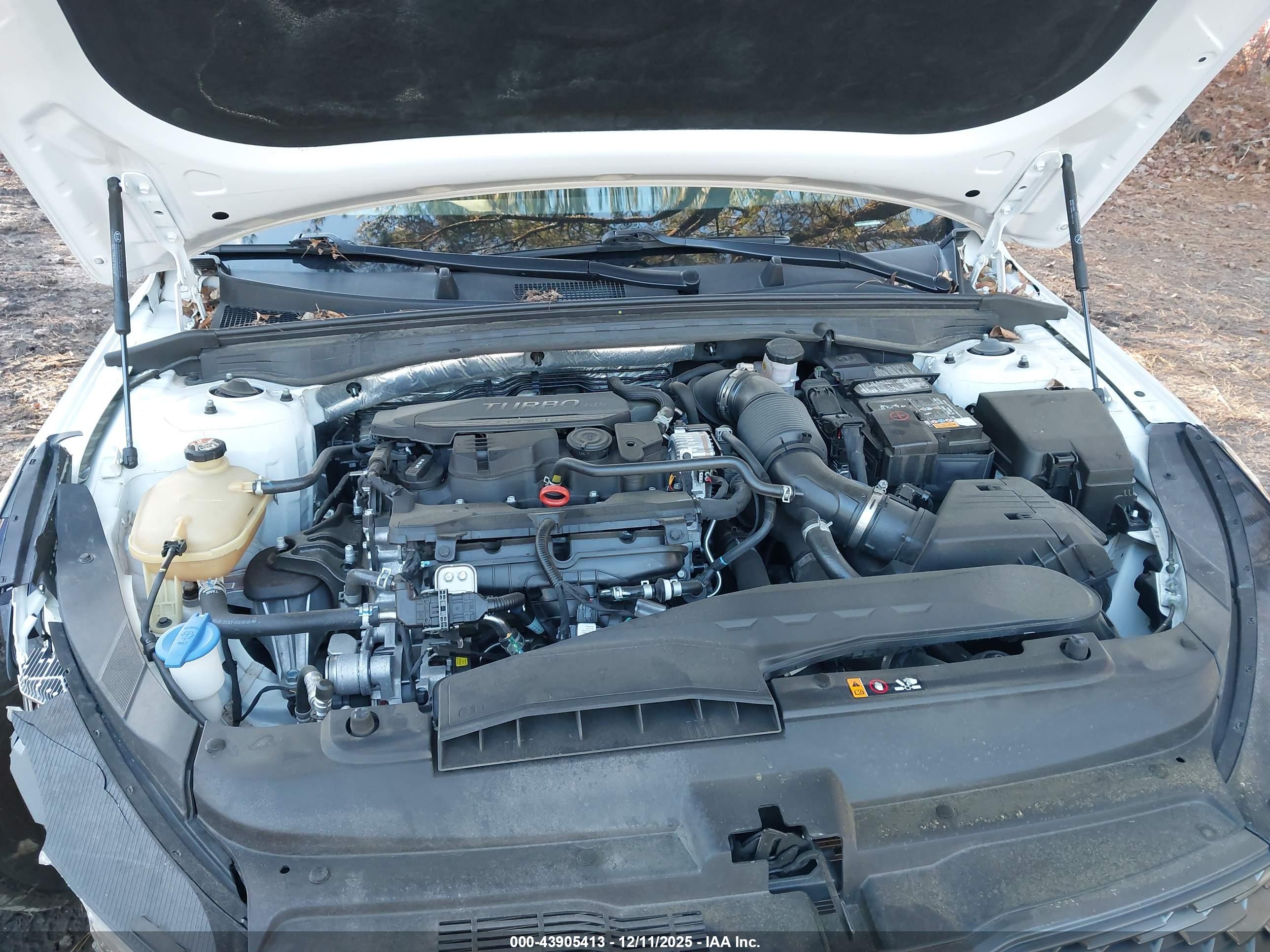 KIA K5 image 10