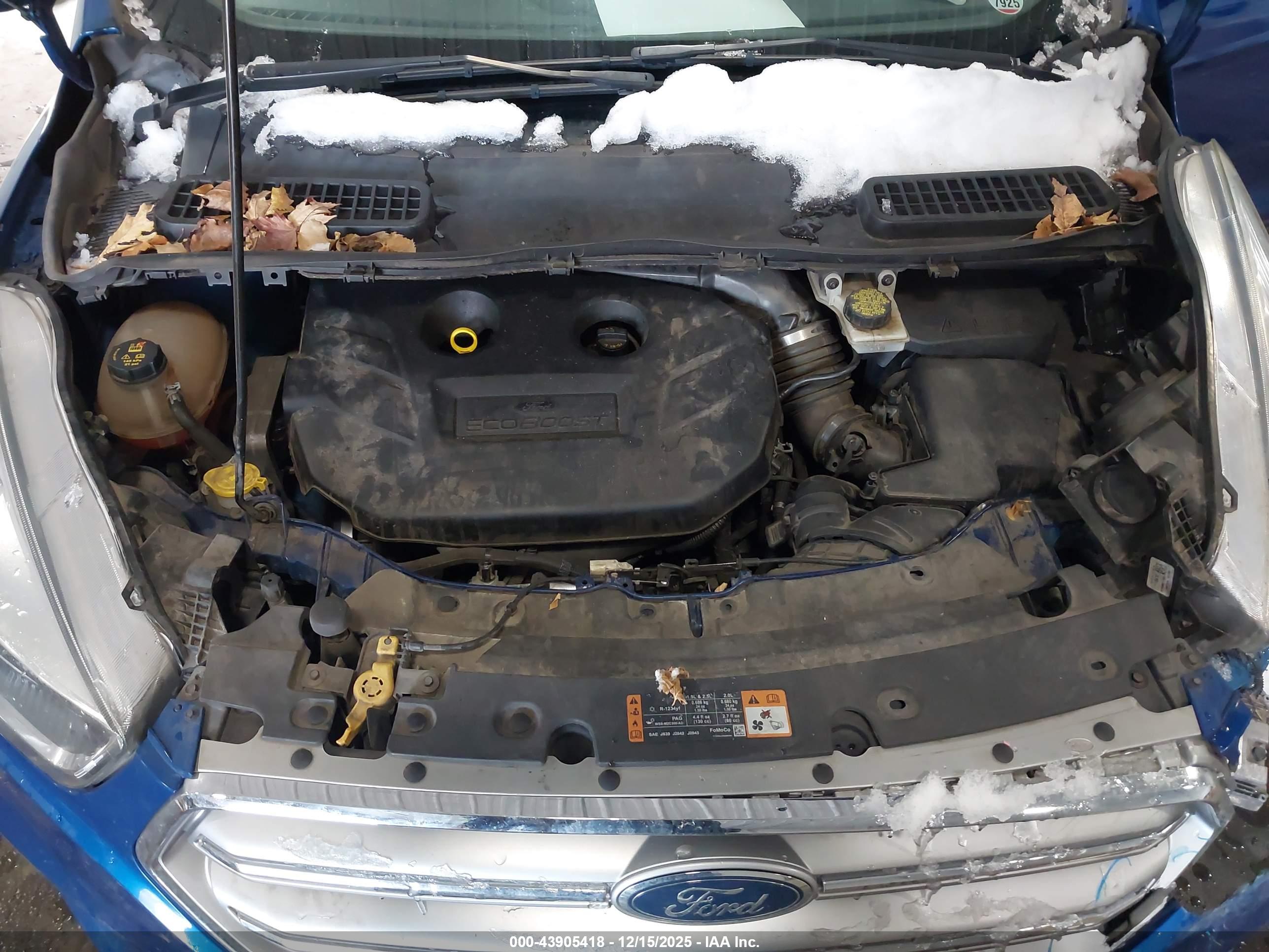 FORD ESCAPE image 10