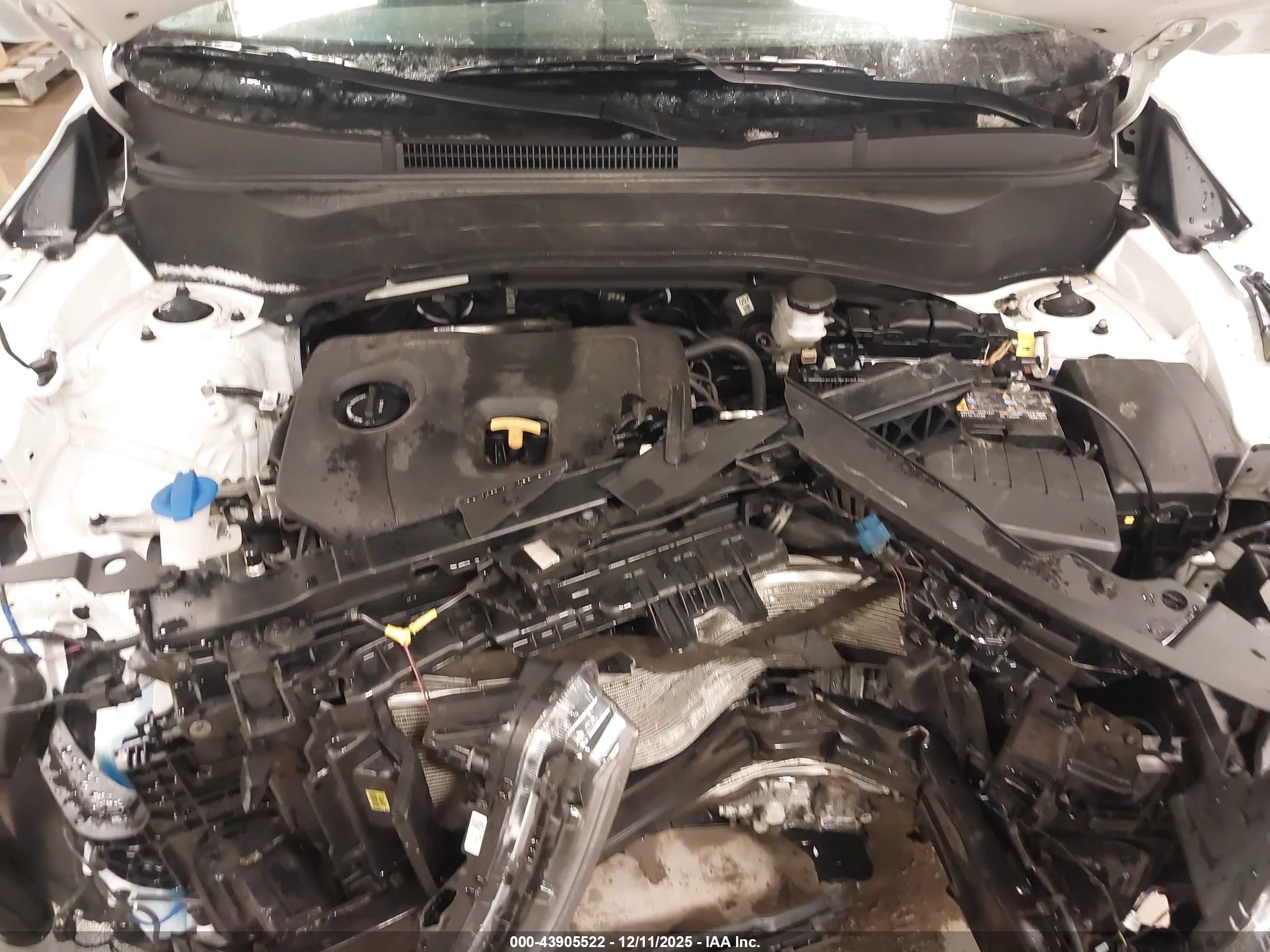 KIA SELTOS image 10