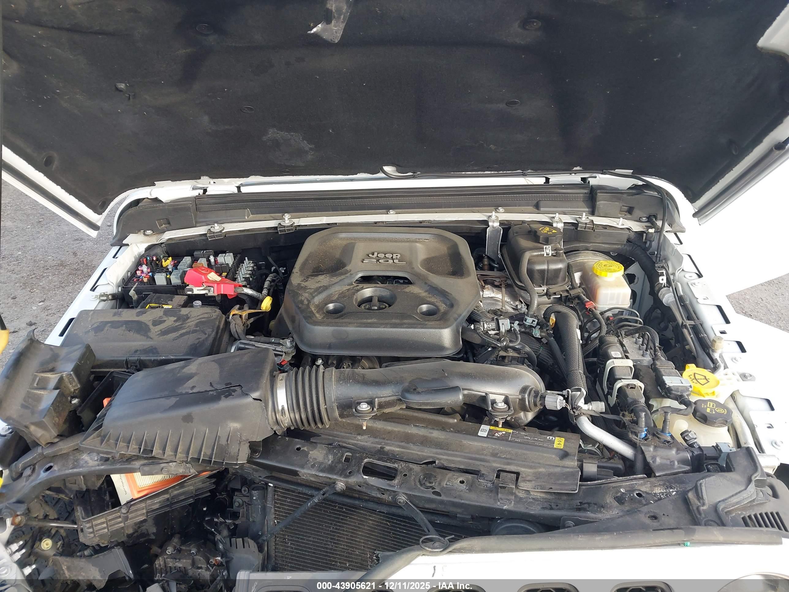 JEEP WRANGLER image 10