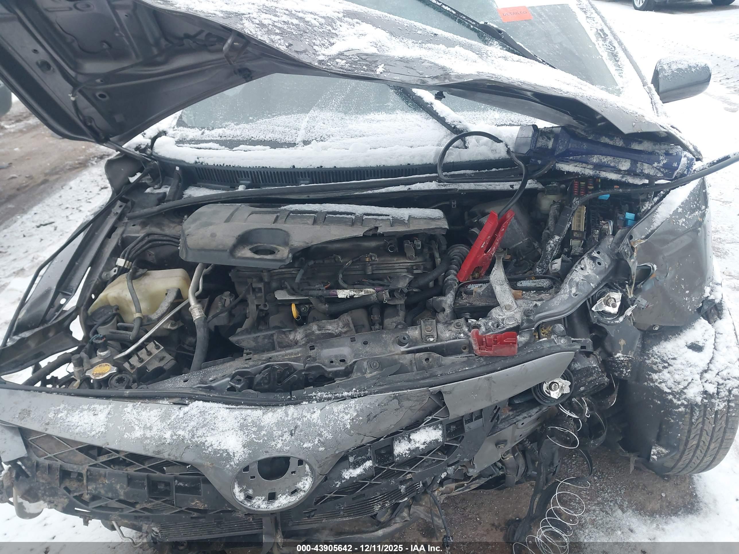 TOYOTA COROLLA image 10