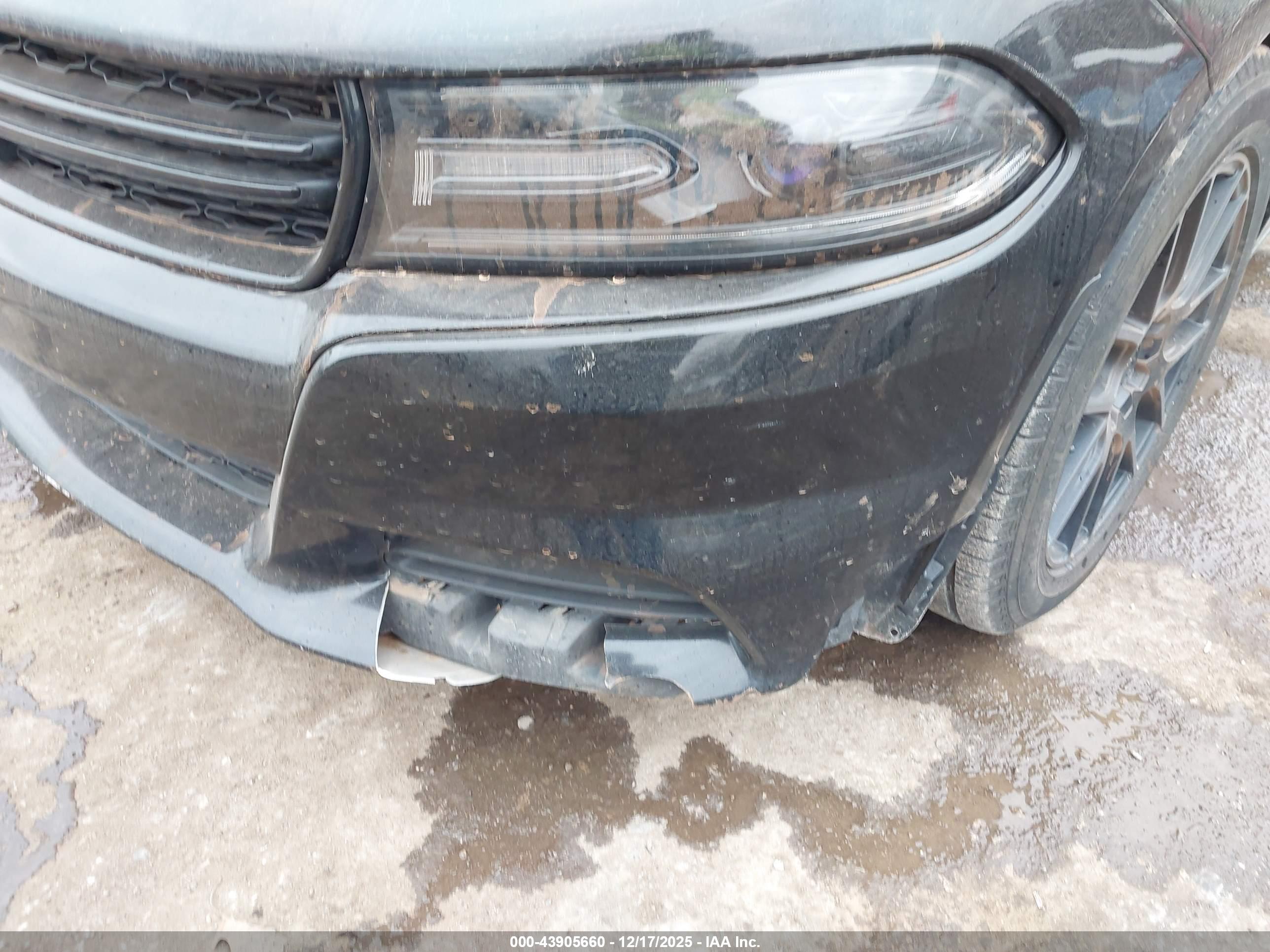 DODGE CHARGER image 6
