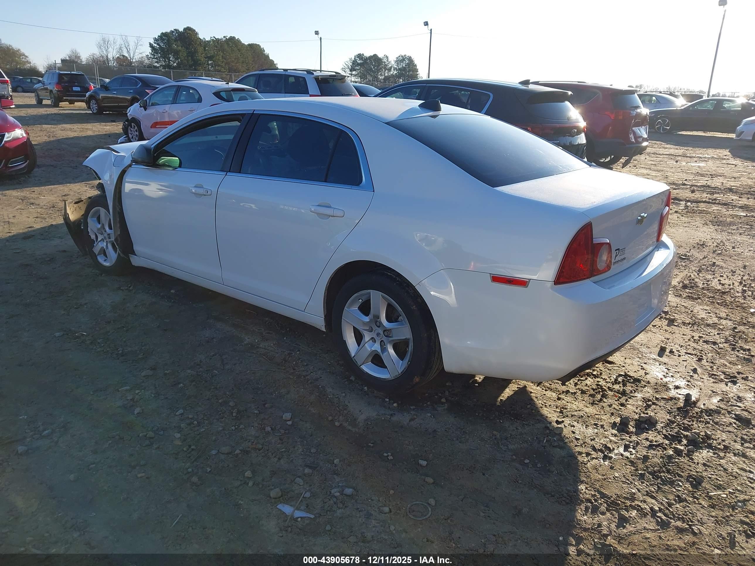 CHEVROLET MALIBU image 3