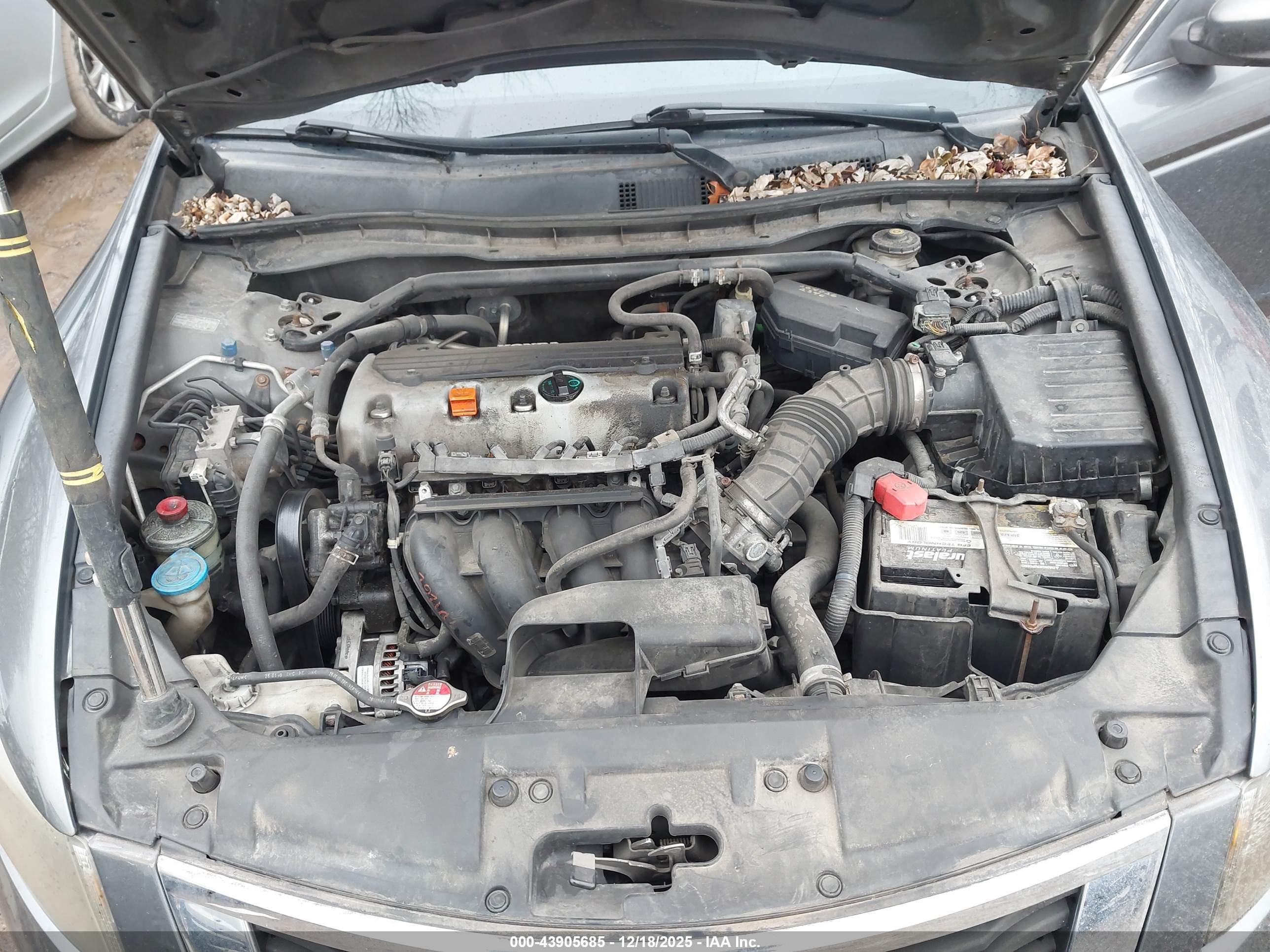 HONDA ACCORD image 10