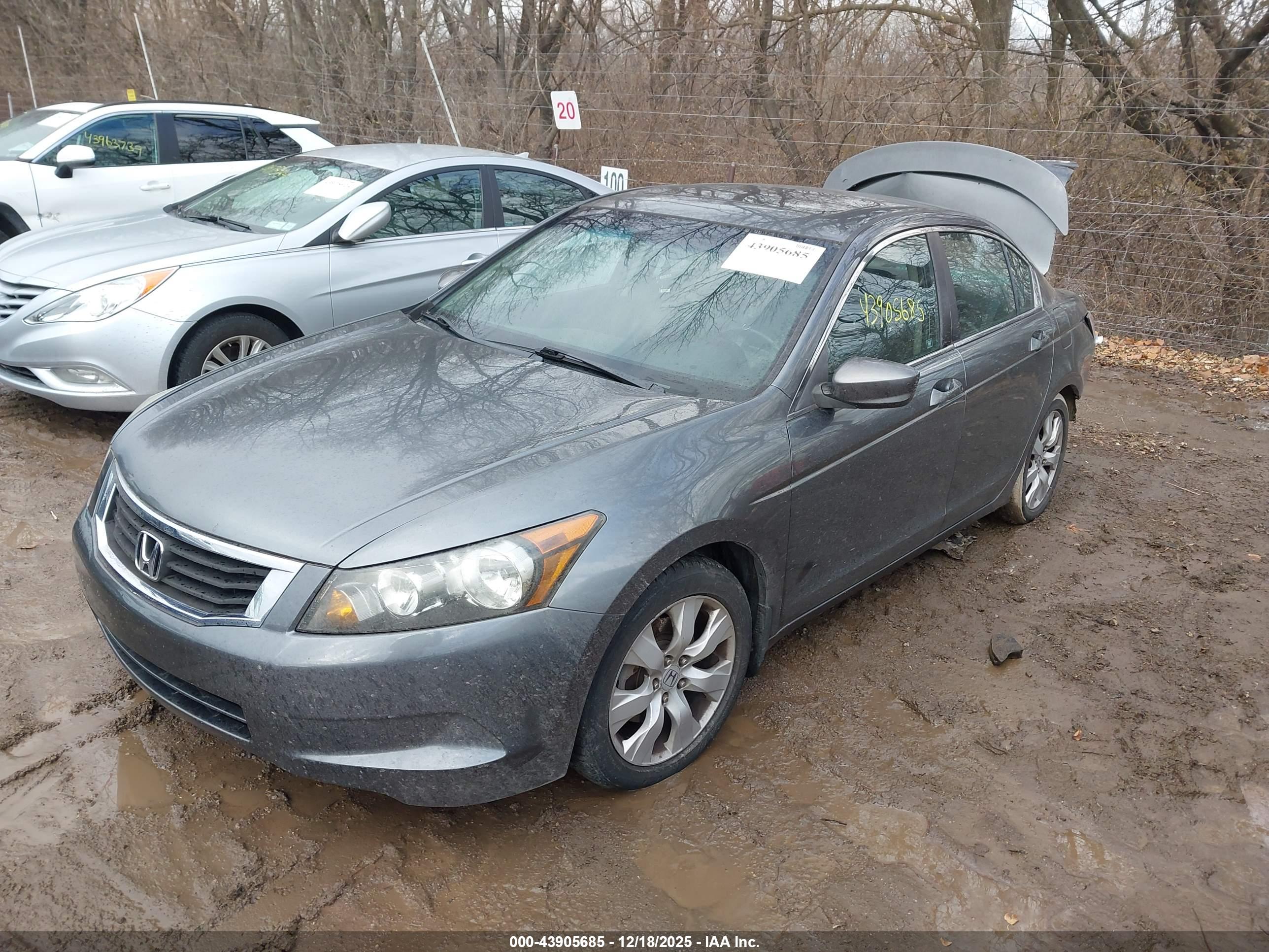 HONDA ACCORD image 2
