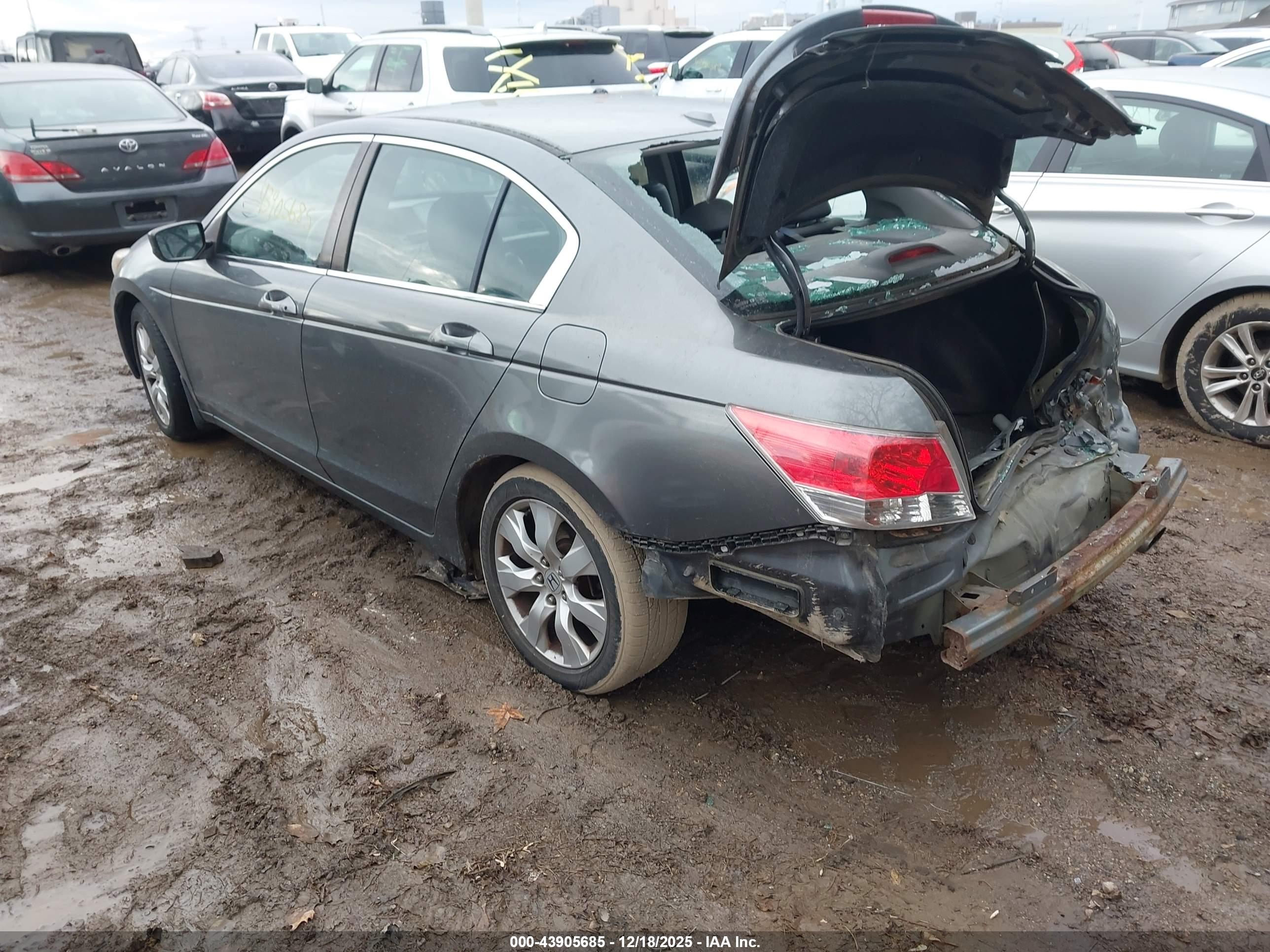 HONDA ACCORD image 3