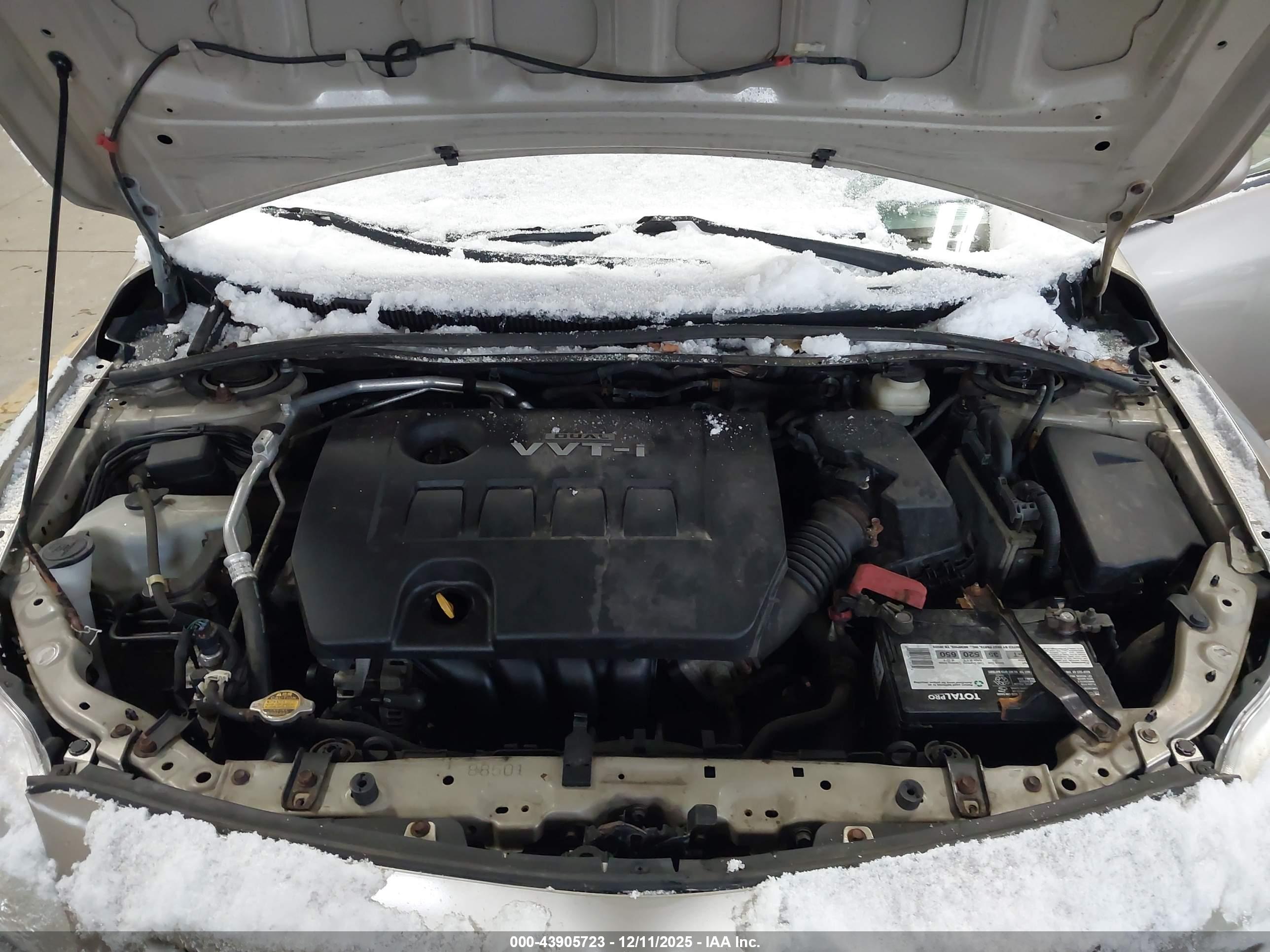 TOYOTA COROLLA image 10