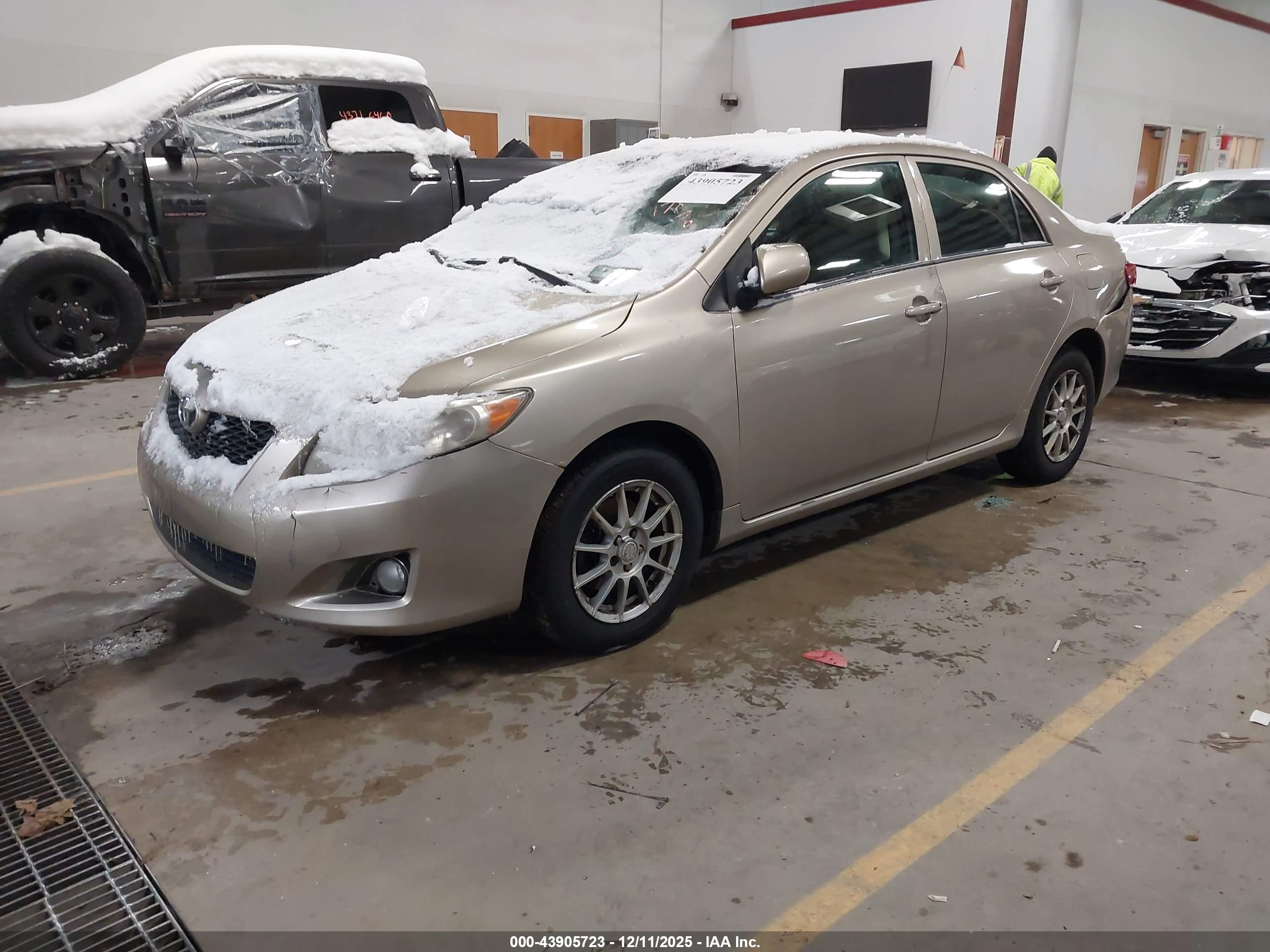 TOYOTA COROLLA image 2