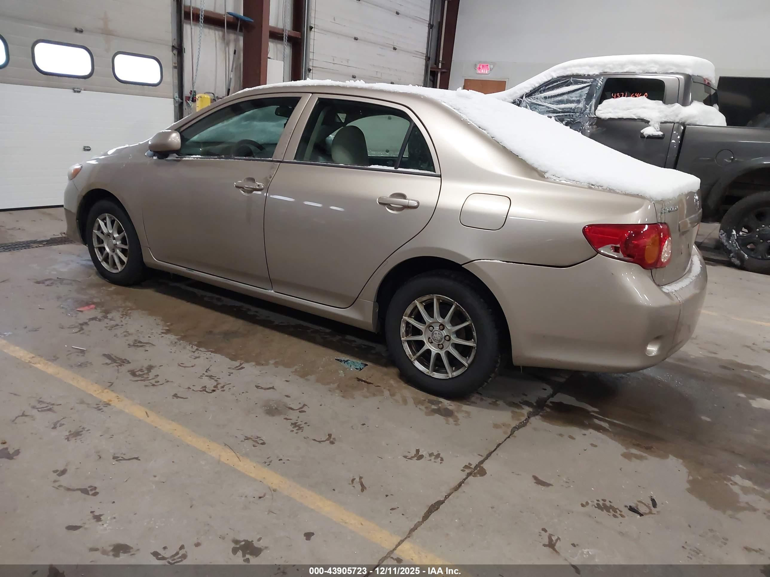 TOYOTA COROLLA image 3