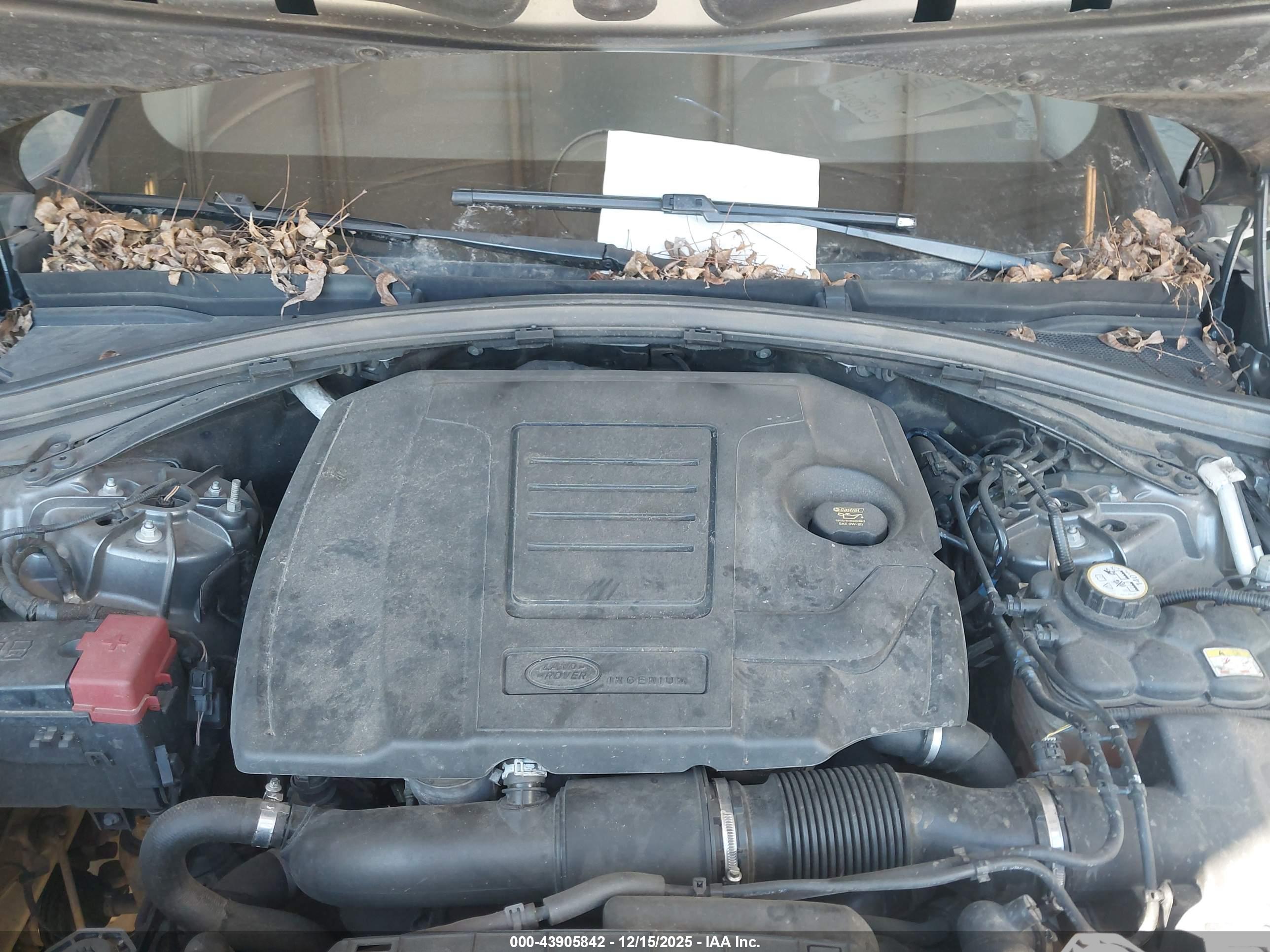 LAND ROVER image 10