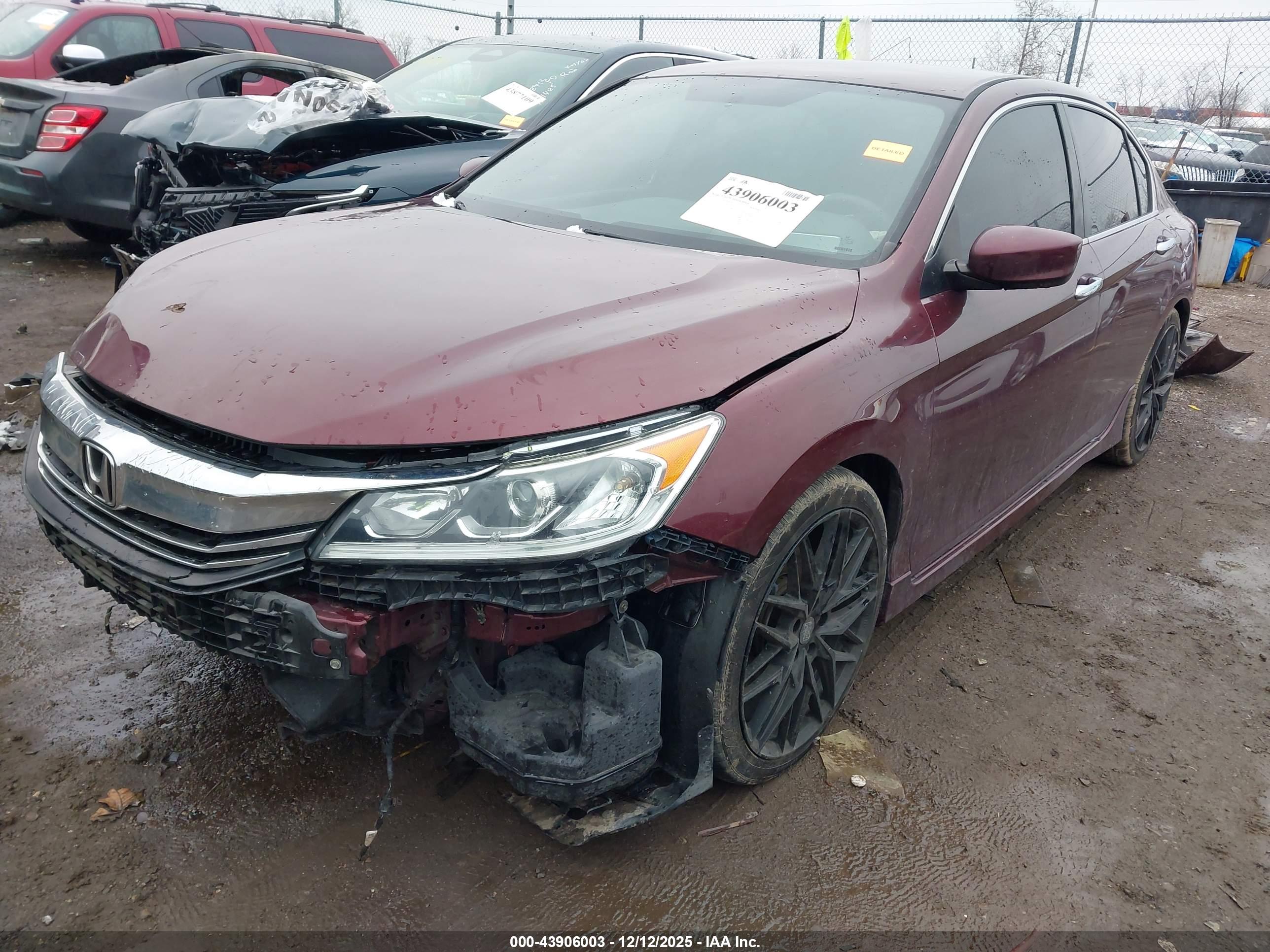 HONDA ACCORD image 6