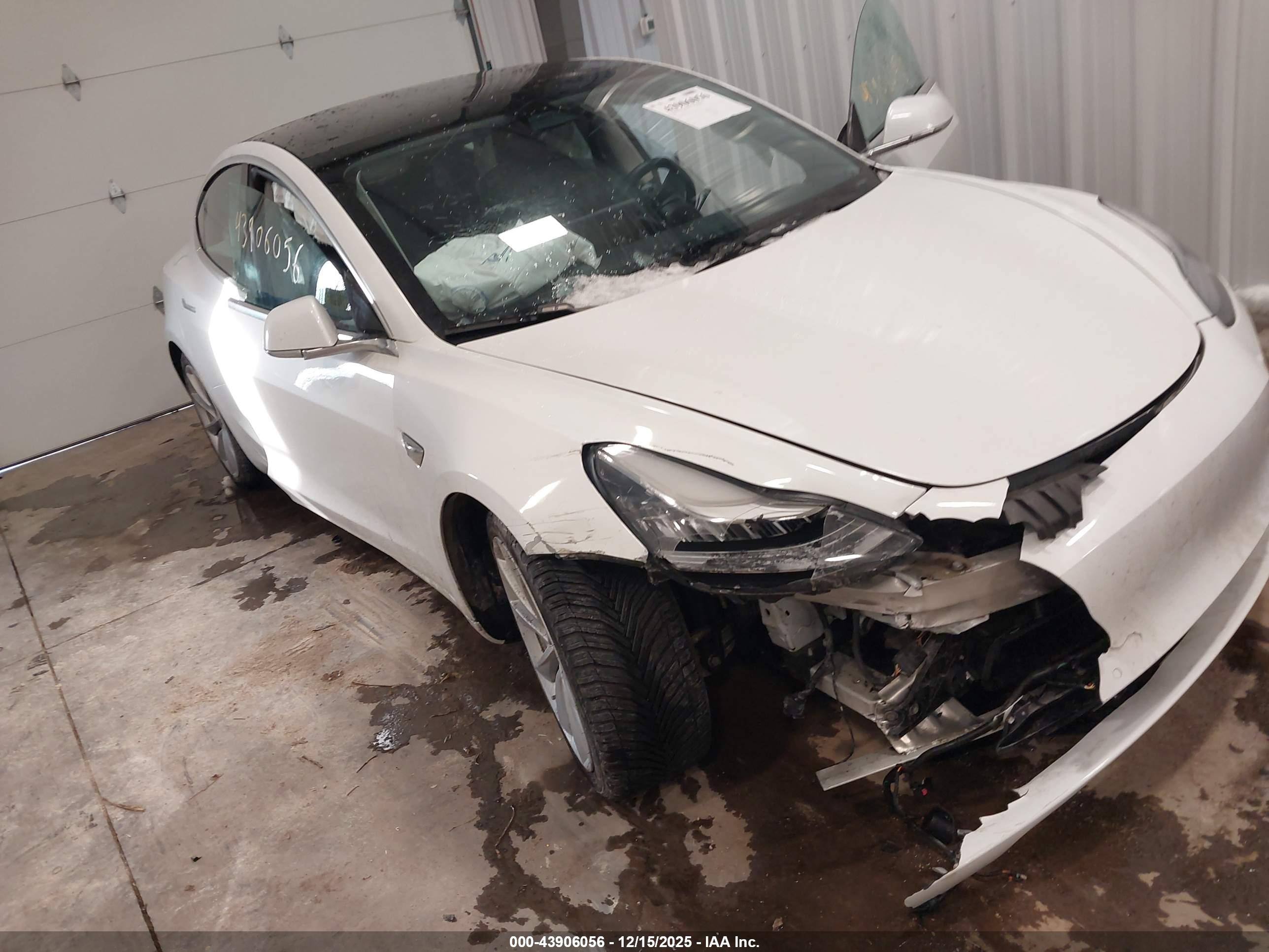 TESLA MODEL image 6