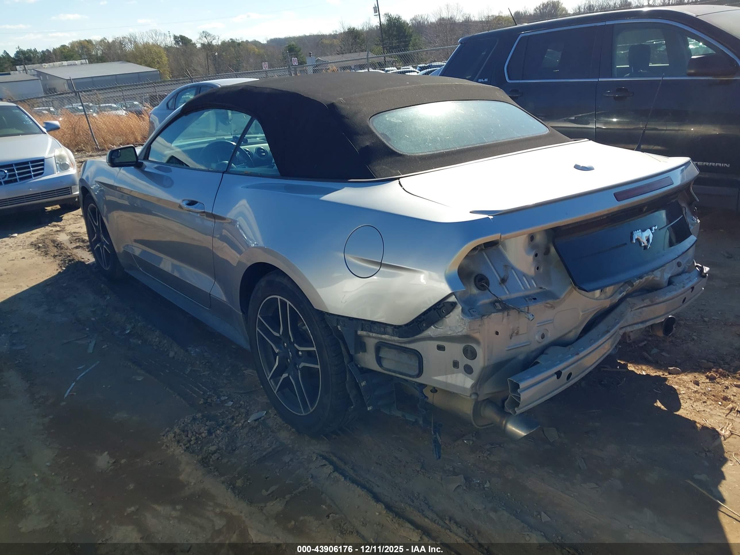FORD MUSTANG image 3