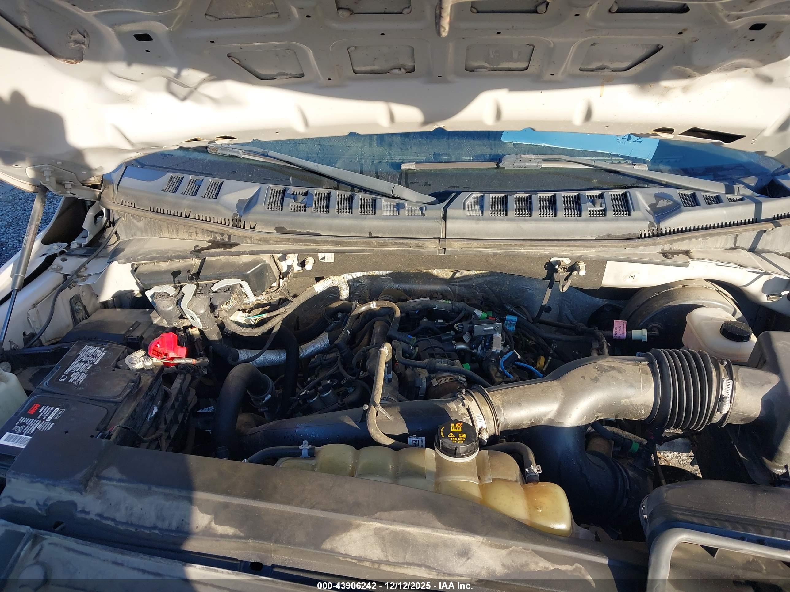 FORD F-150 image 10