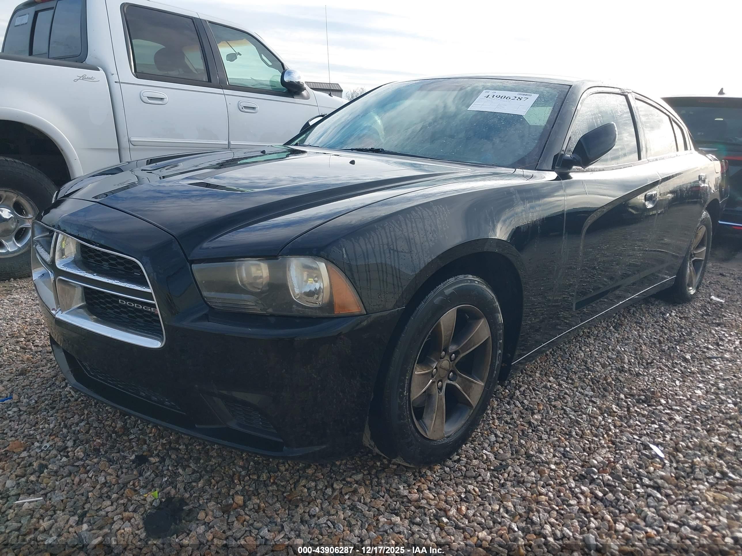 DODGE CHARGER image 2