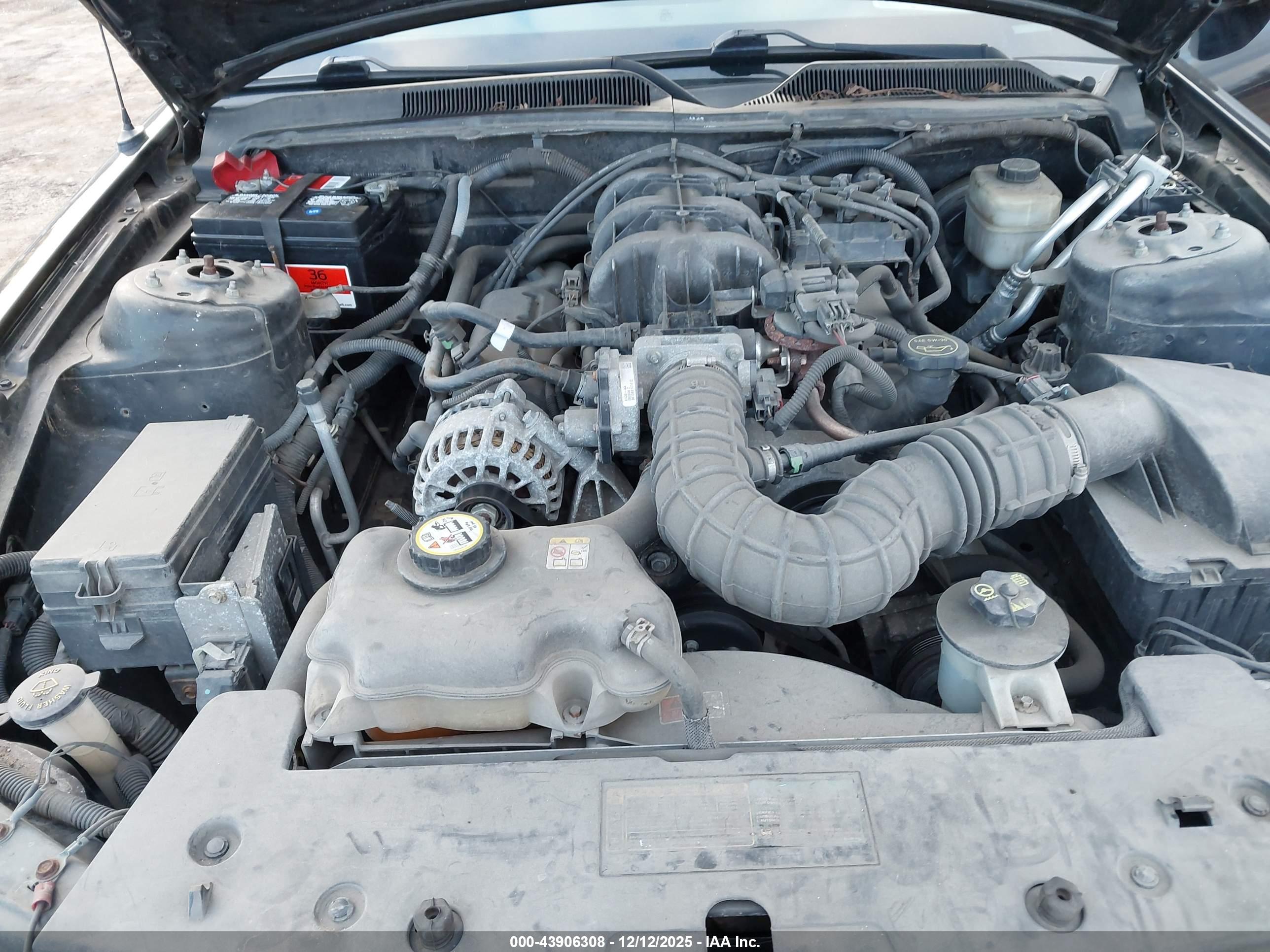 FORD MUSTANG image 10