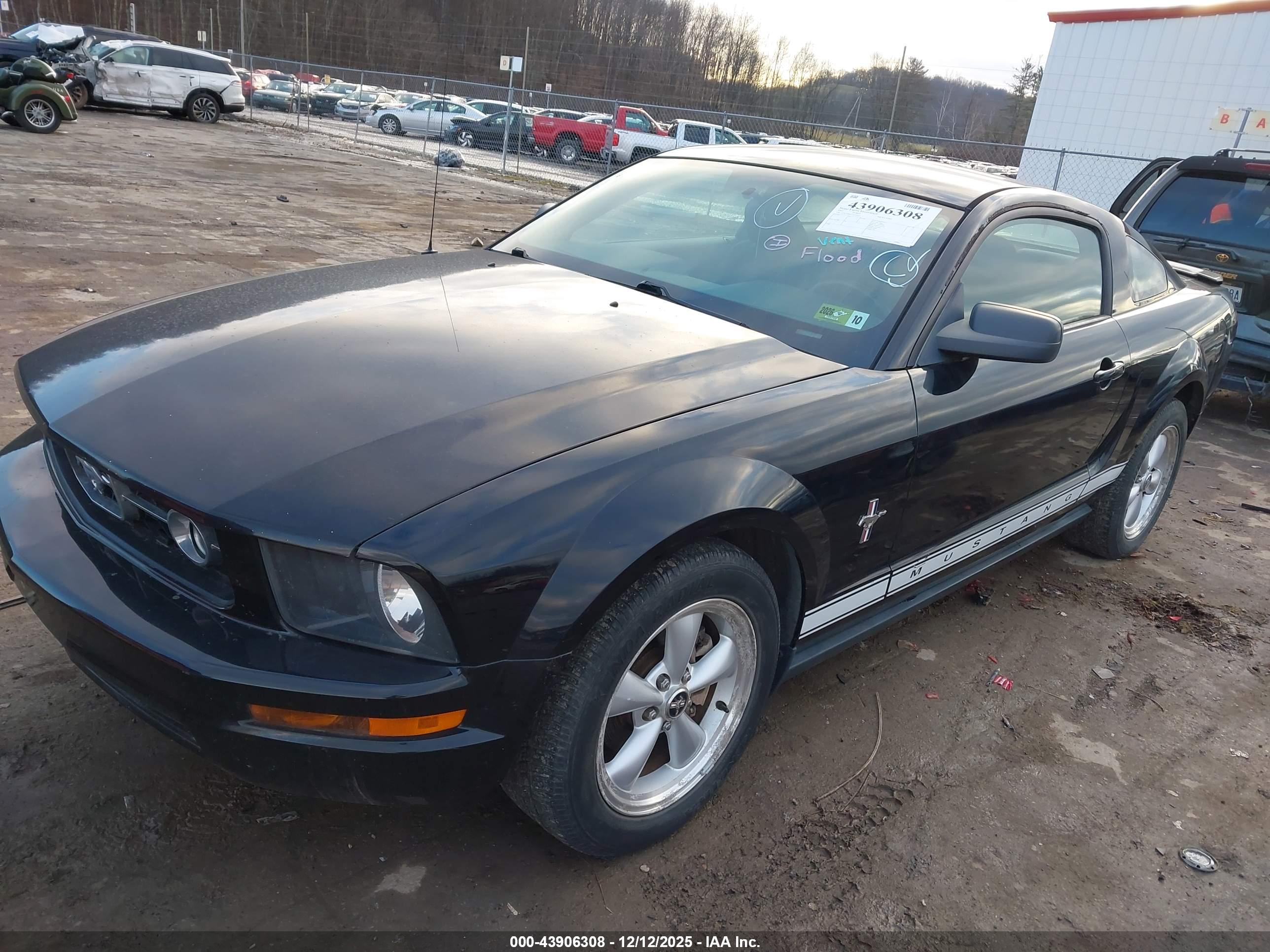 FORD MUSTANG image 2