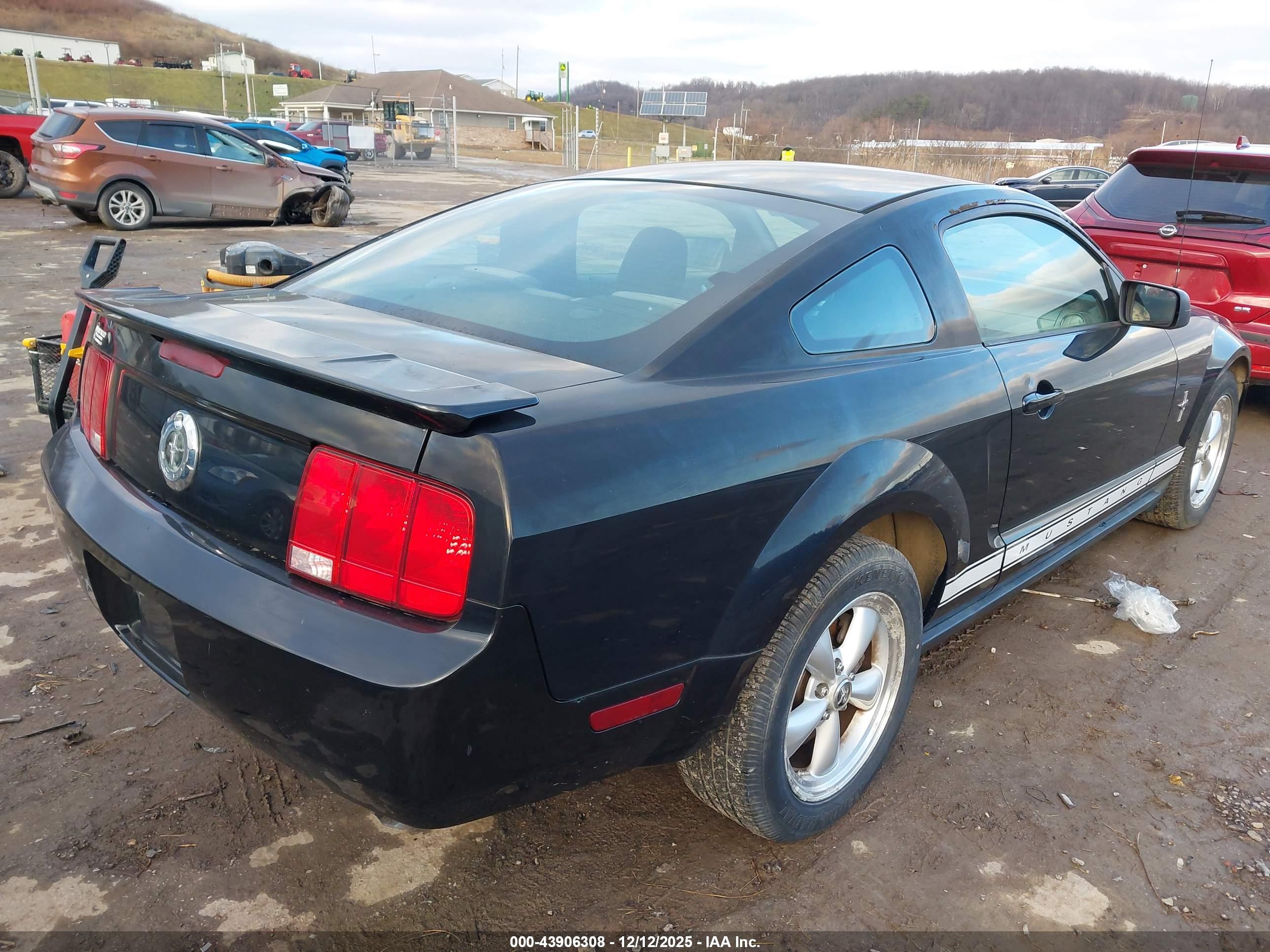 FORD MUSTANG image 4