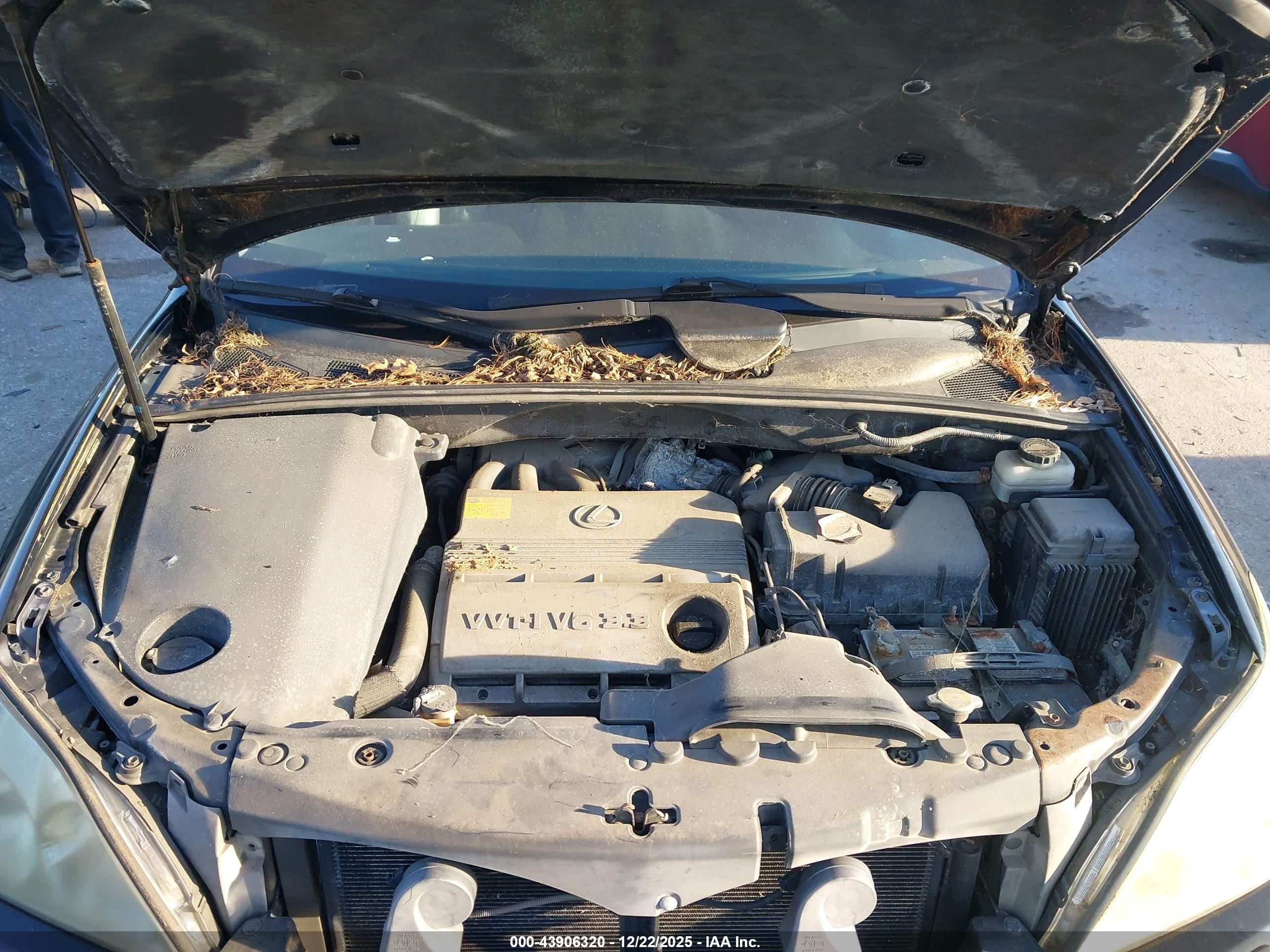 LEXUS RX image 10