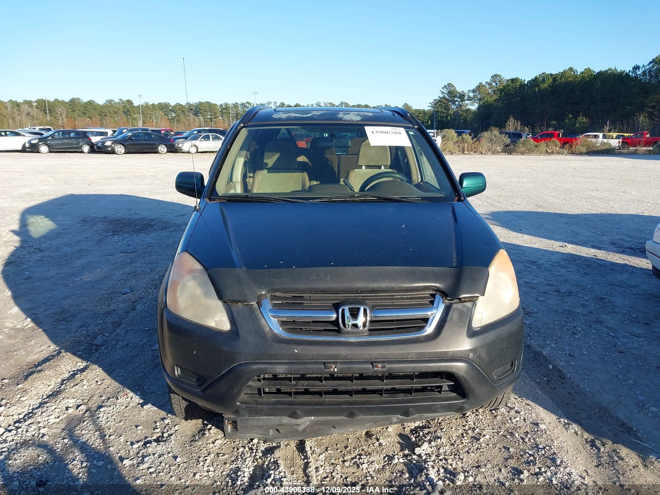 HONDA CR-V image 6
