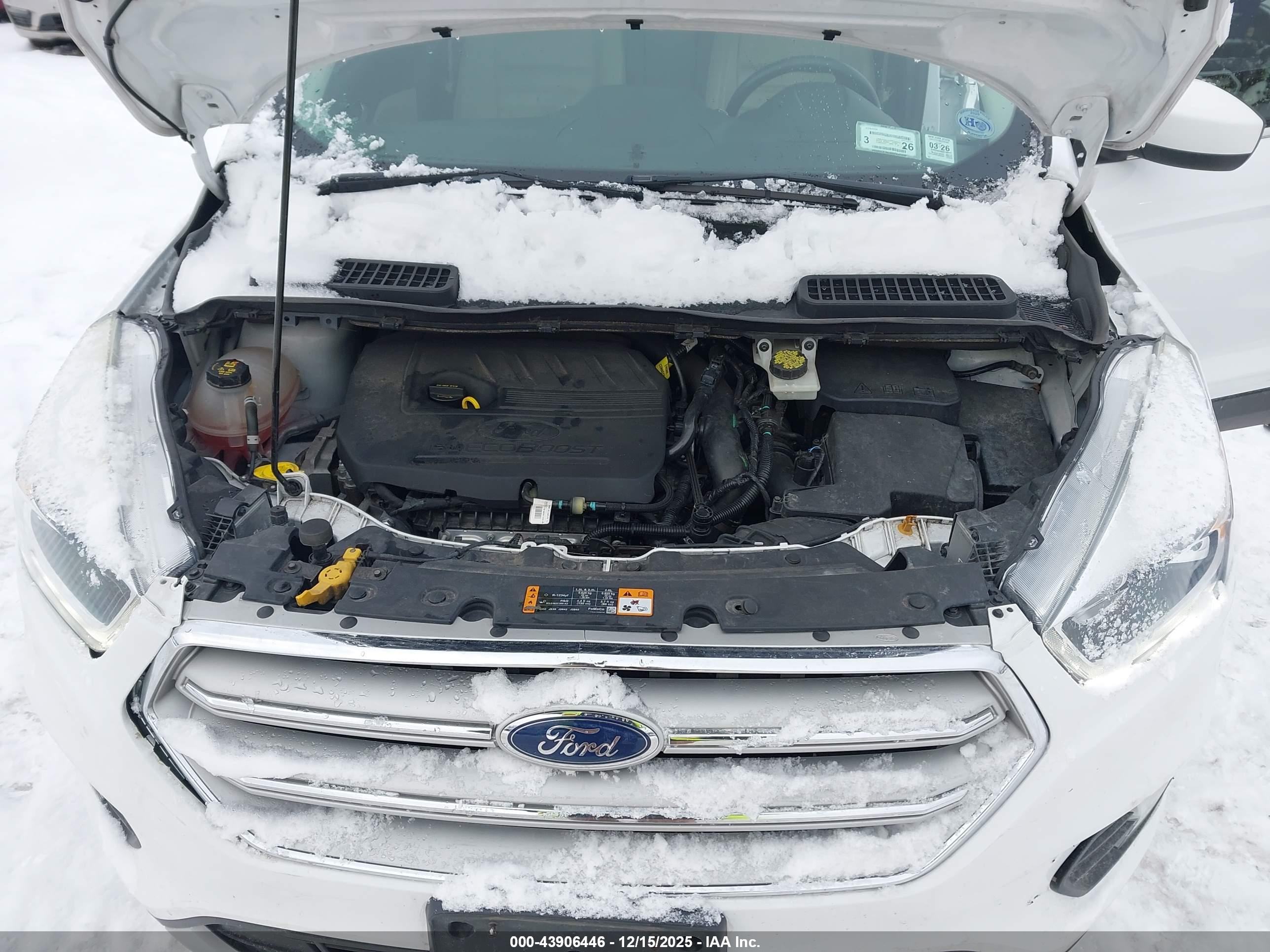 FORD ESCAPE image 10