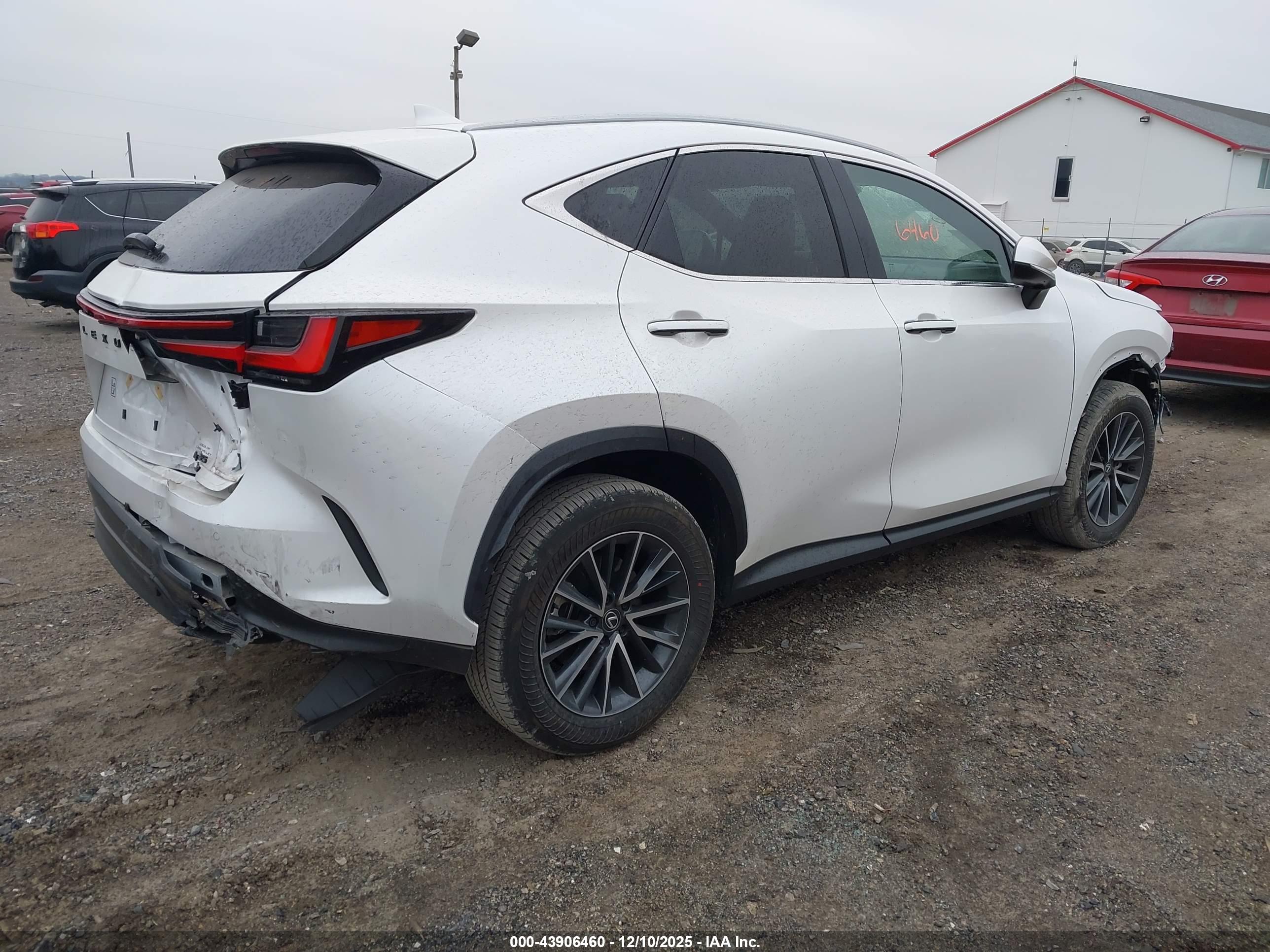 LEXUS NX image 4