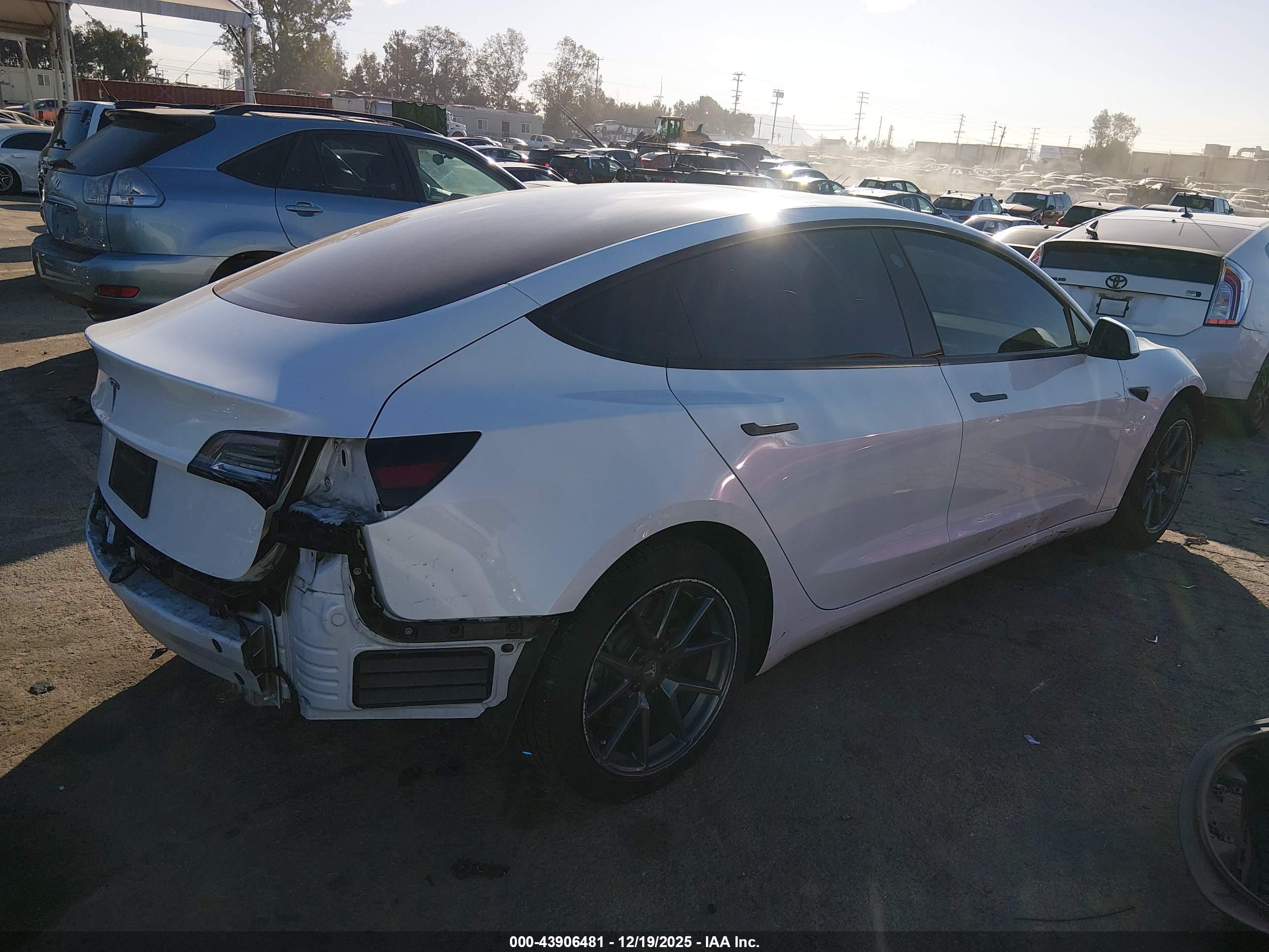 TESLA MODEL image 4