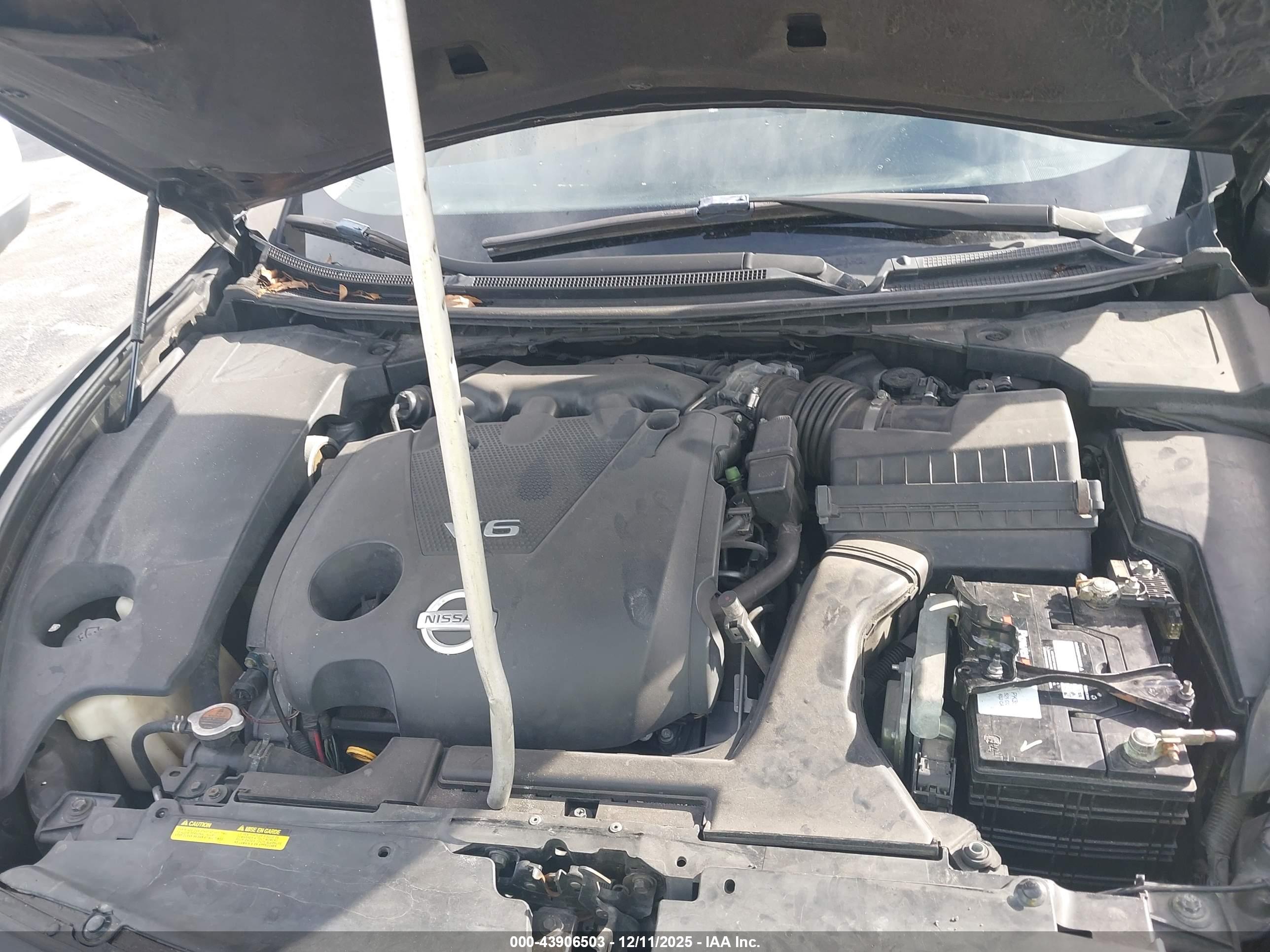 NISSAN MAXIMA image 10