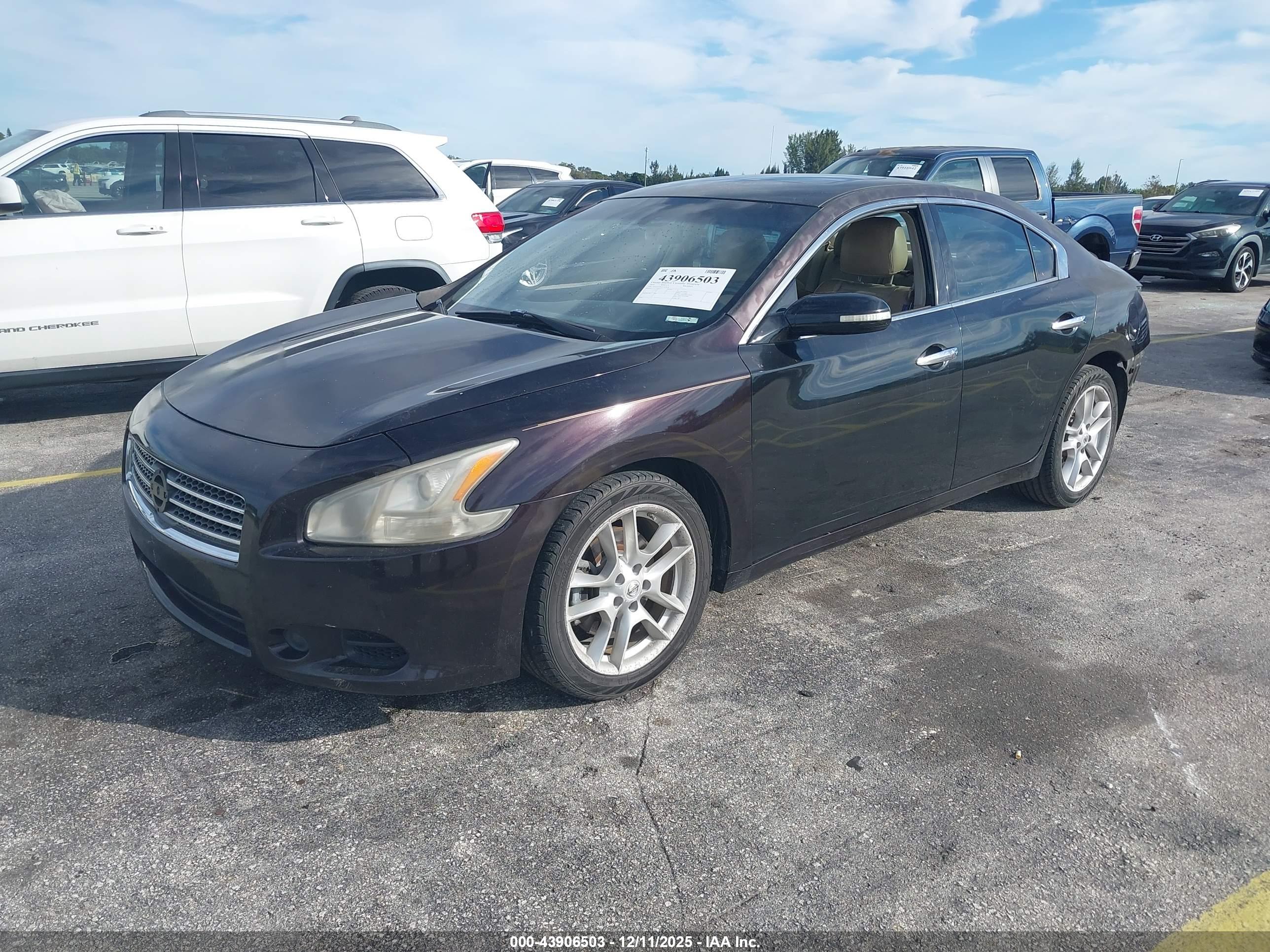 NISSAN MAXIMA image 2