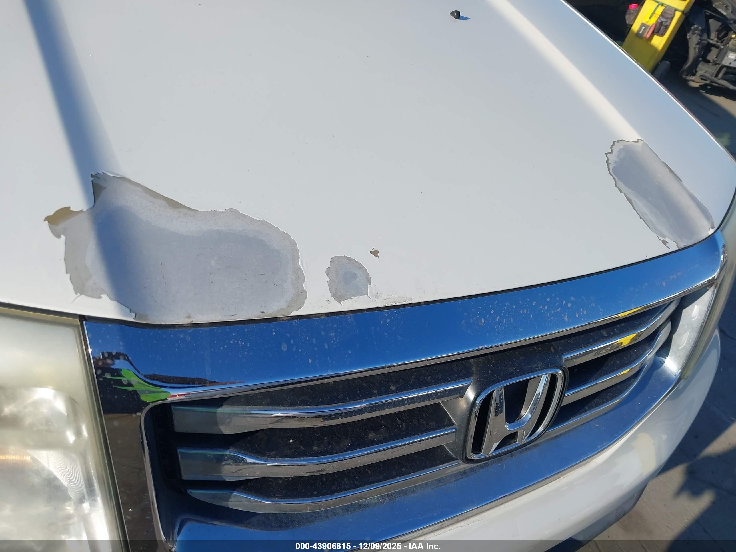 HONDA PILOT image 6