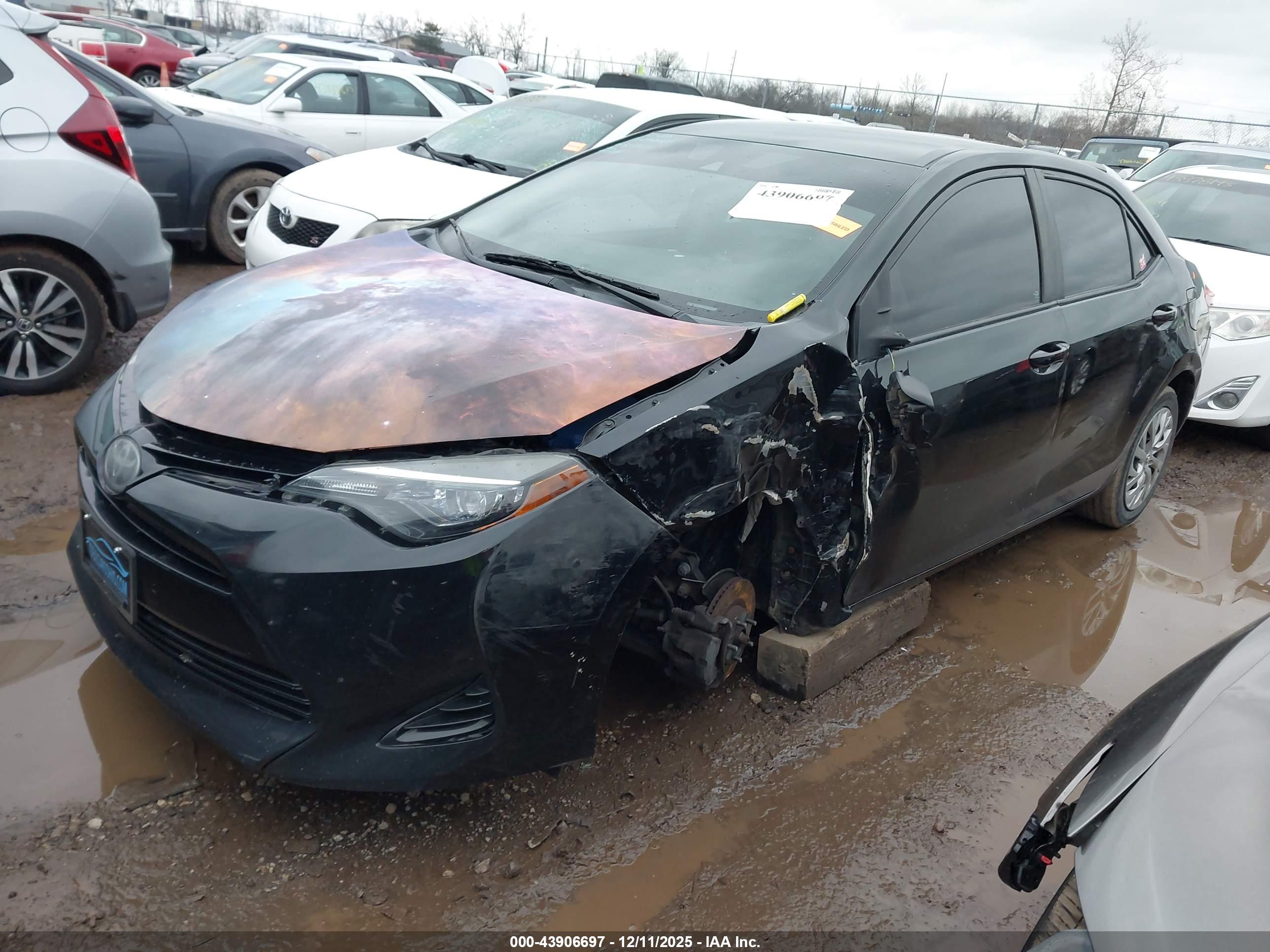 TOYOTA COROLLA image 2