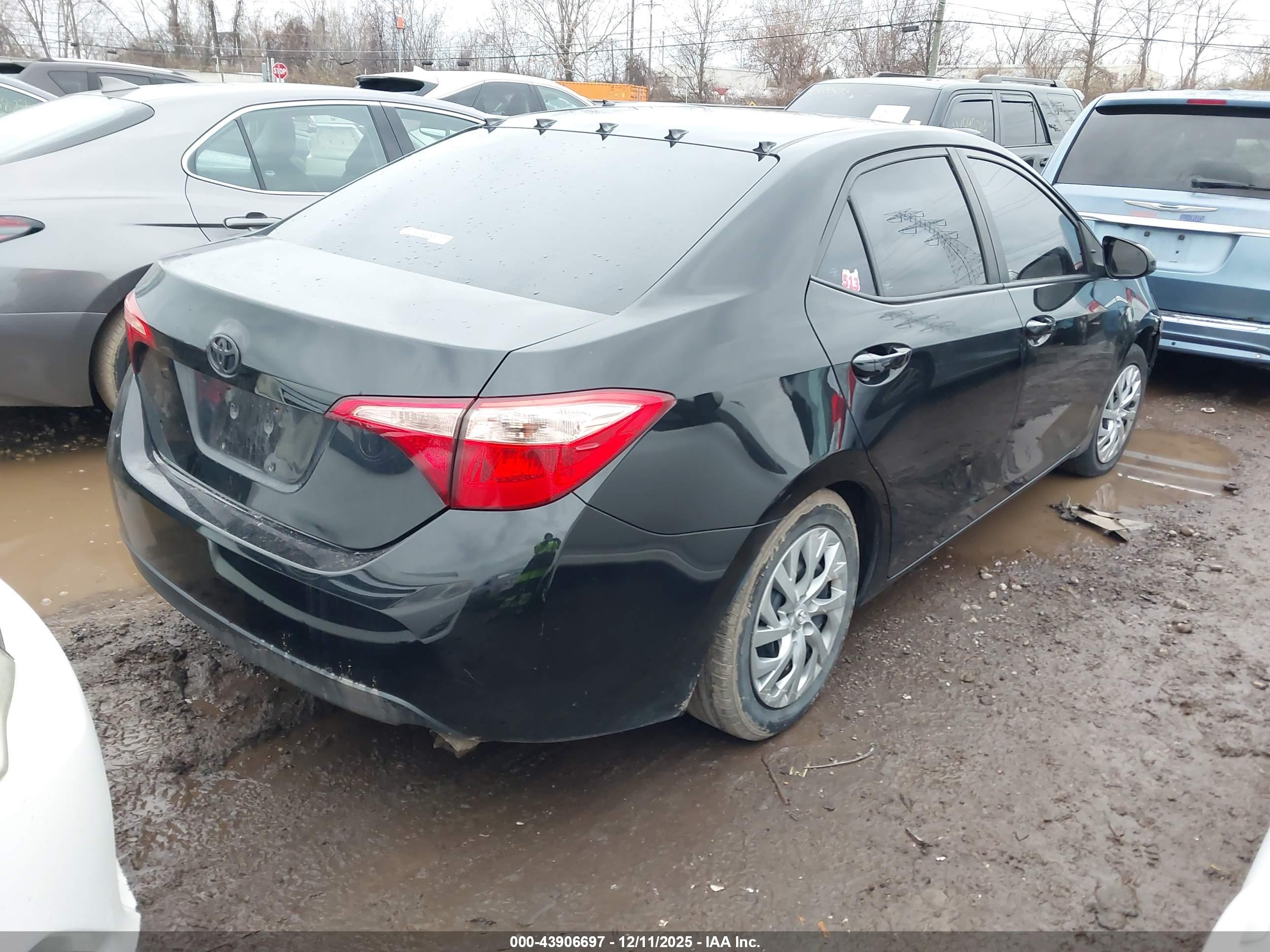 TOYOTA COROLLA image 4