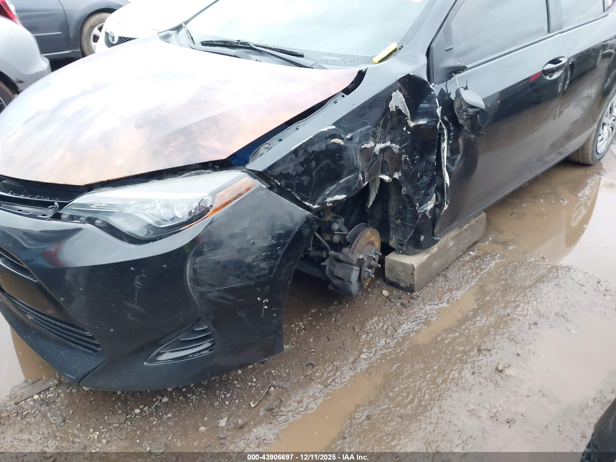 TOYOTA COROLLA image 6