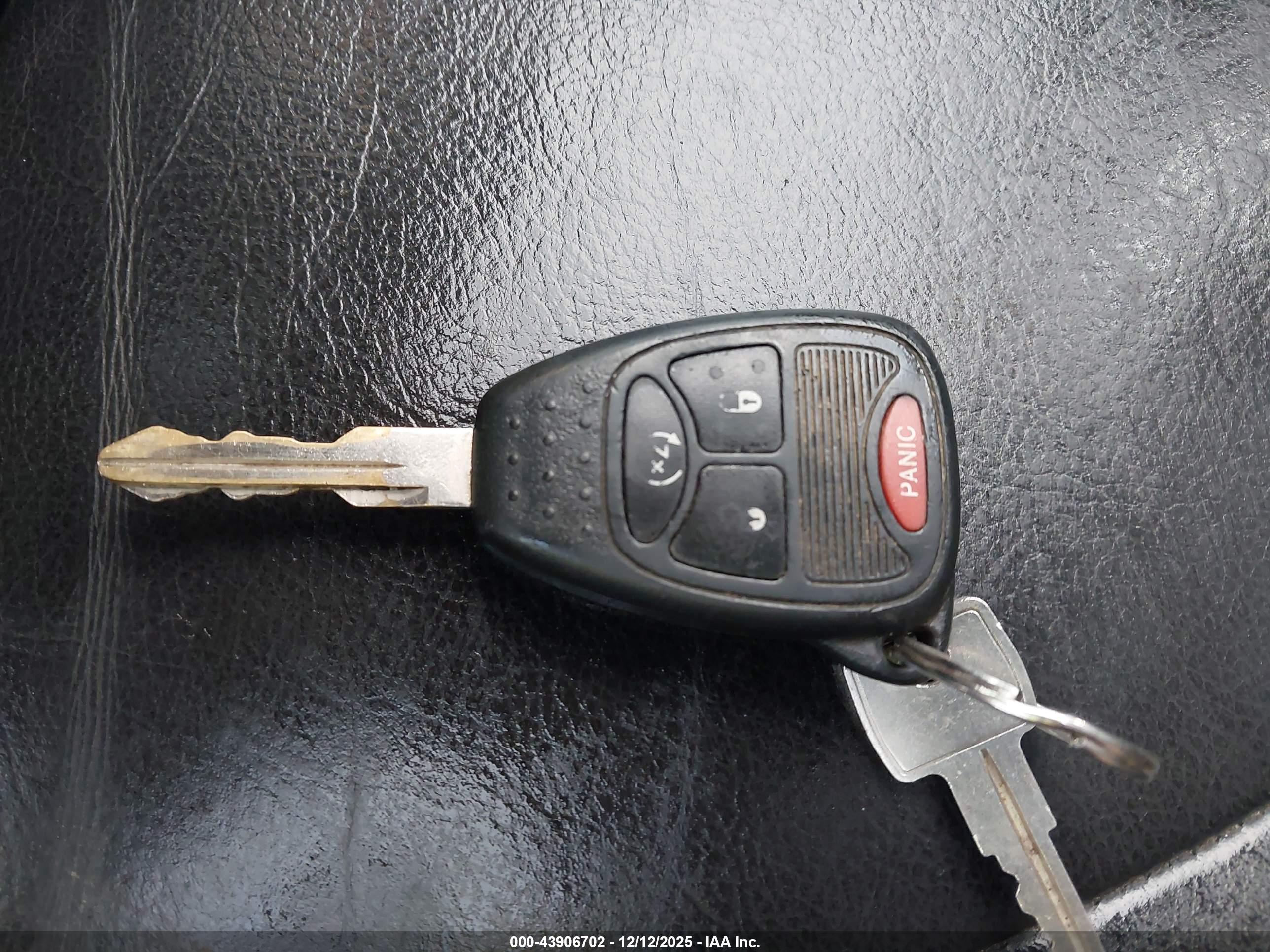 JEEP WRANGLER image 11
