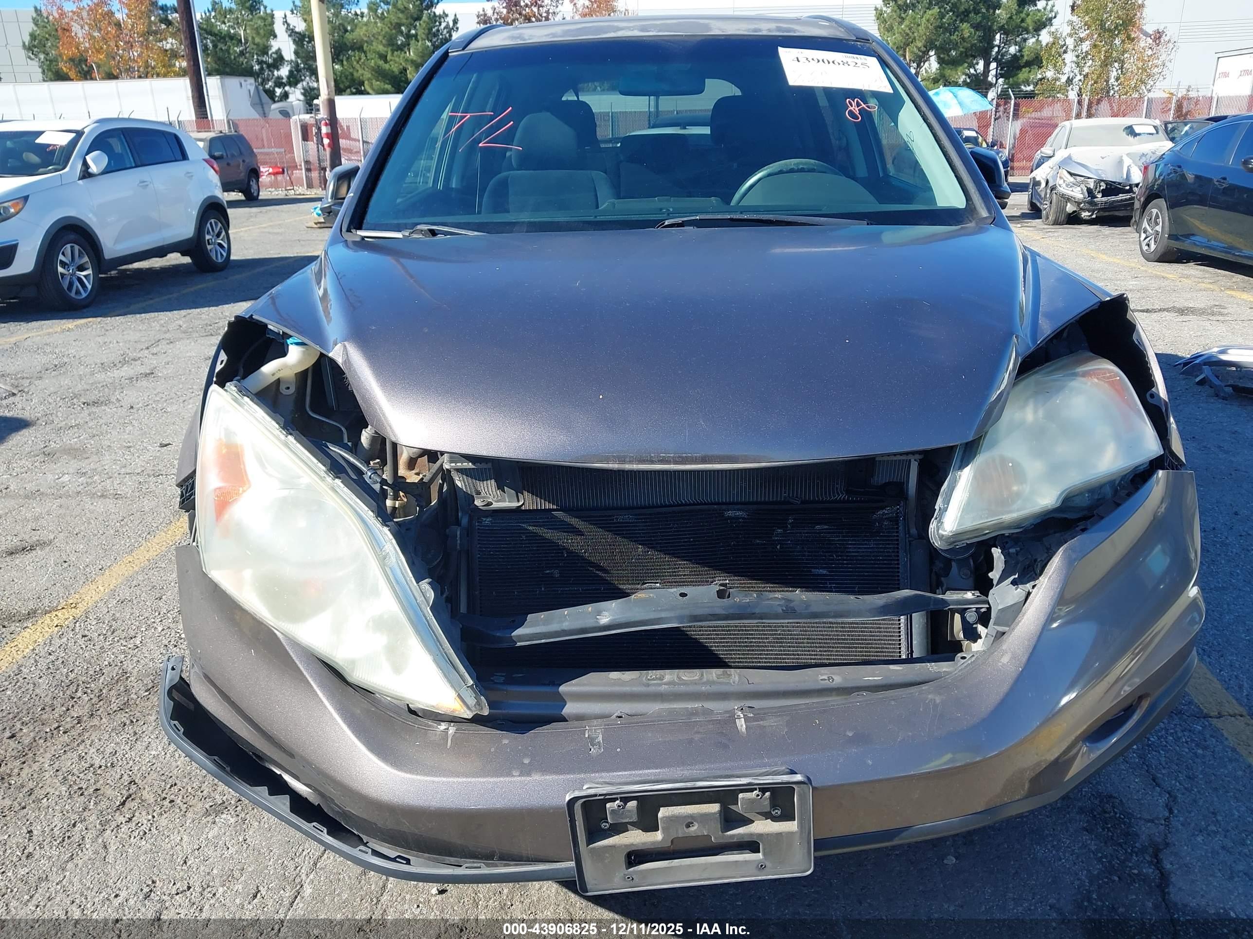 HONDA CR-V image 6