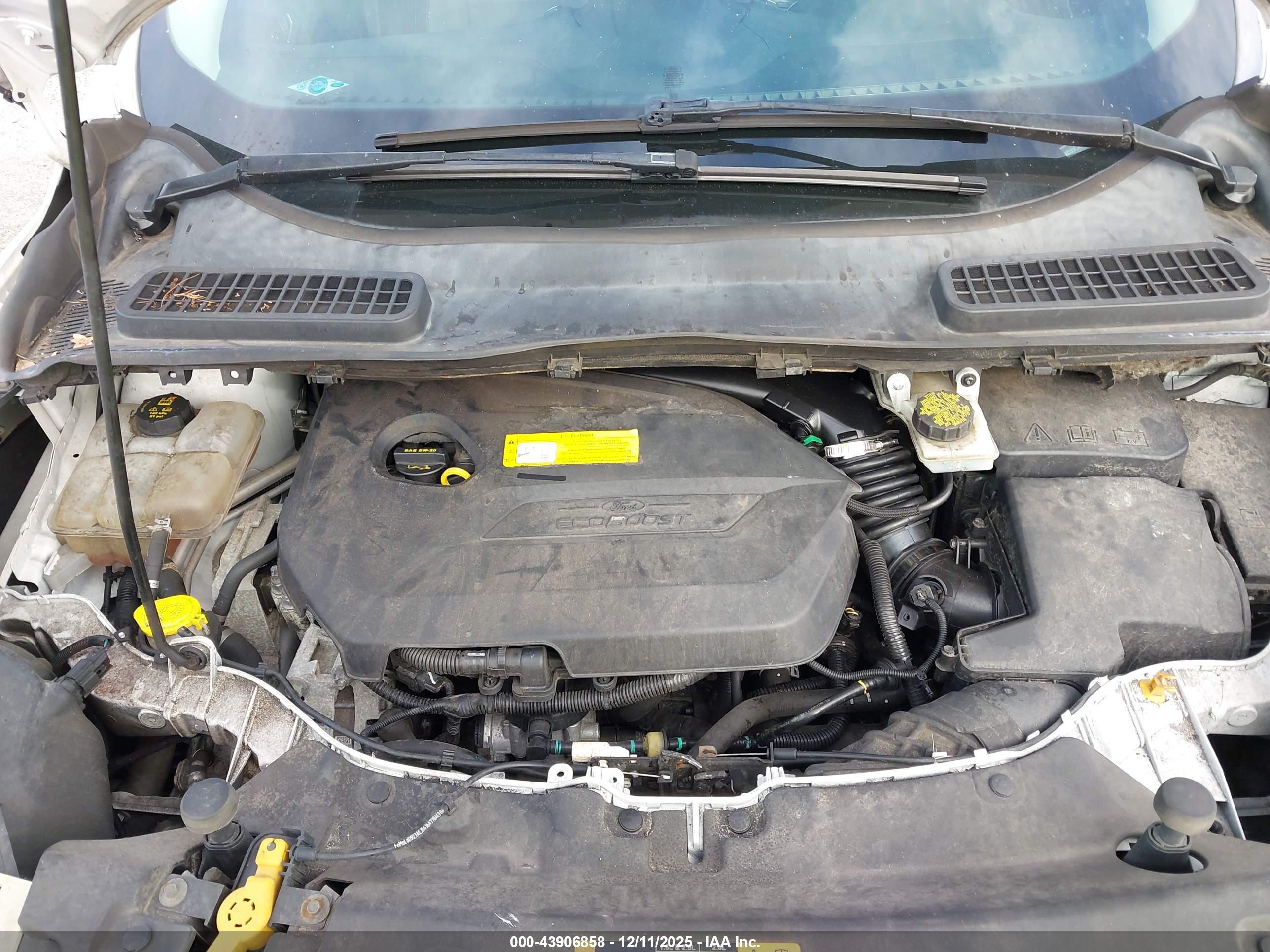 FORD ESCAPE image 10