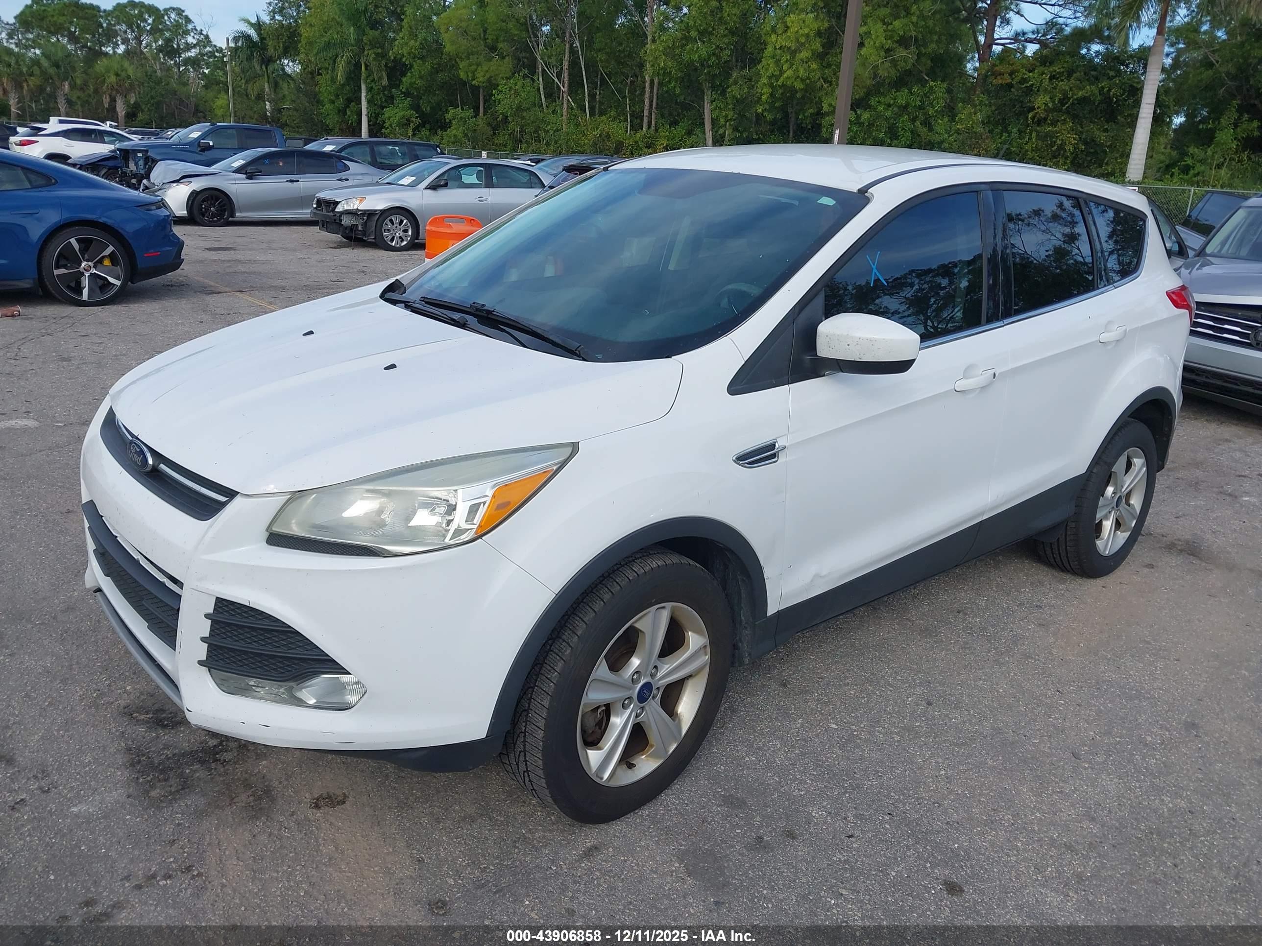FORD ESCAPE image 2